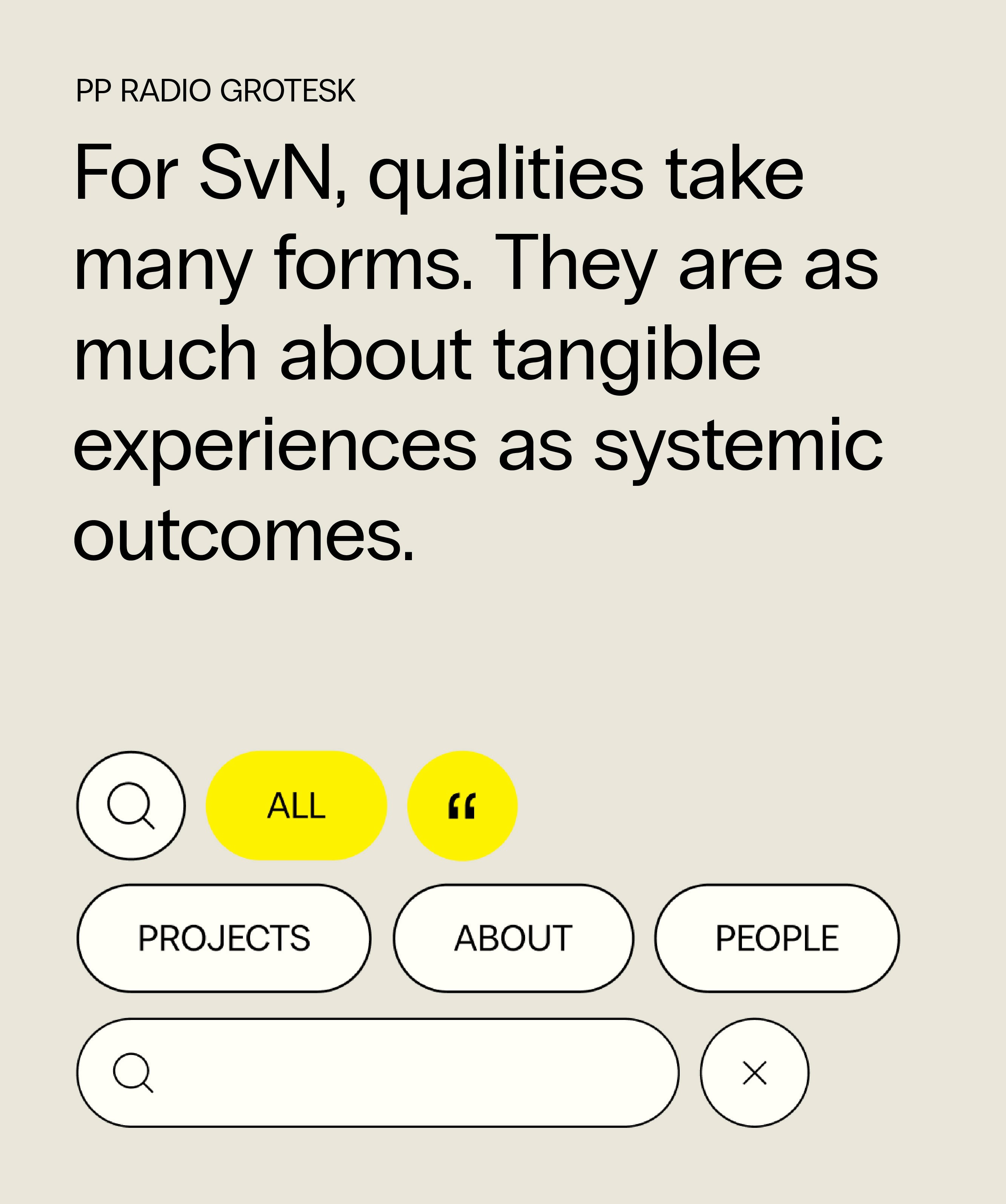 Design elements of the SvN website, showing the typeface and oval button design