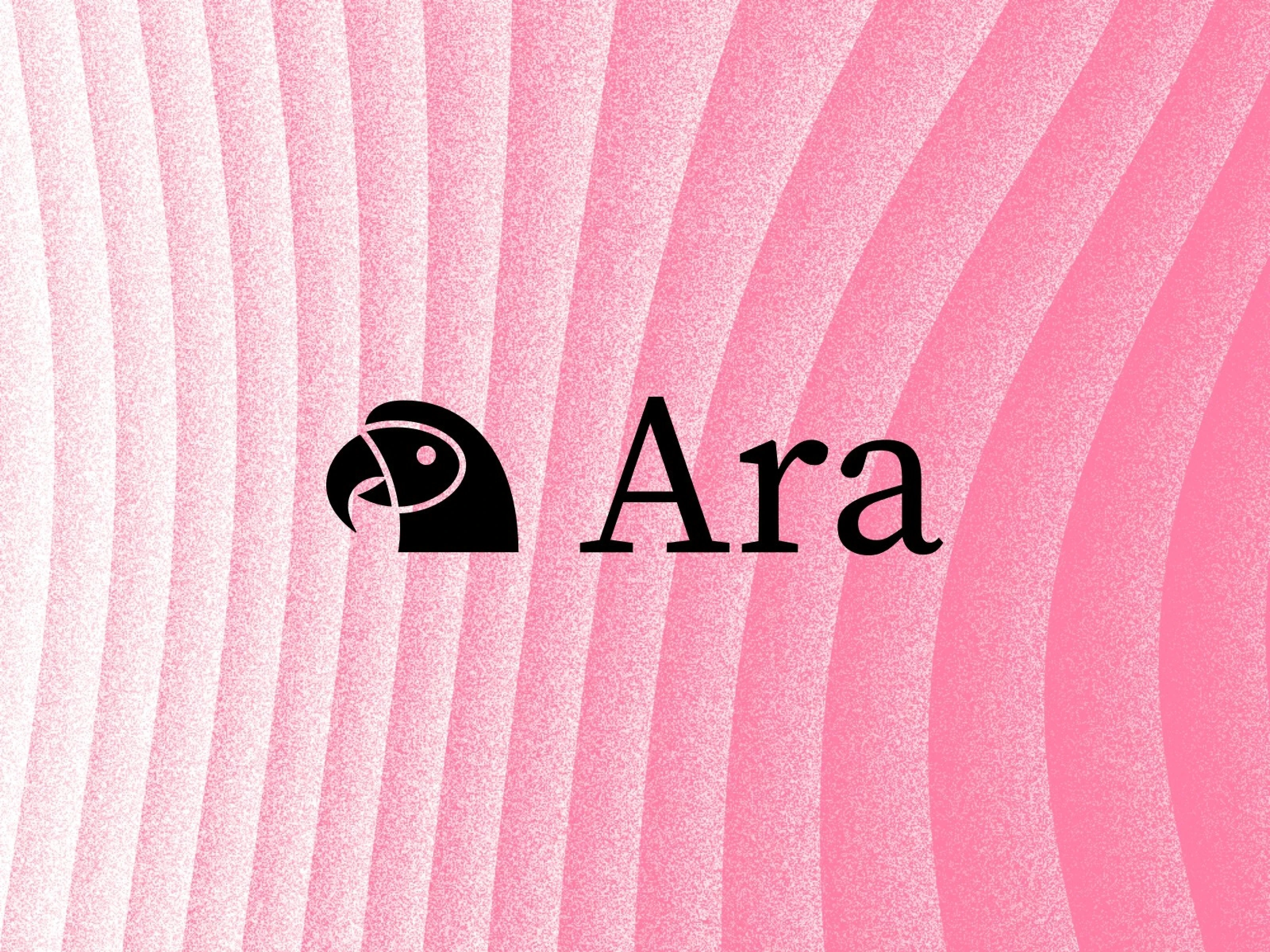 This is the Ara graphic, featuring a logo in the shape of a bird's head alongside the text 'Ara', set against a pink curved background.
