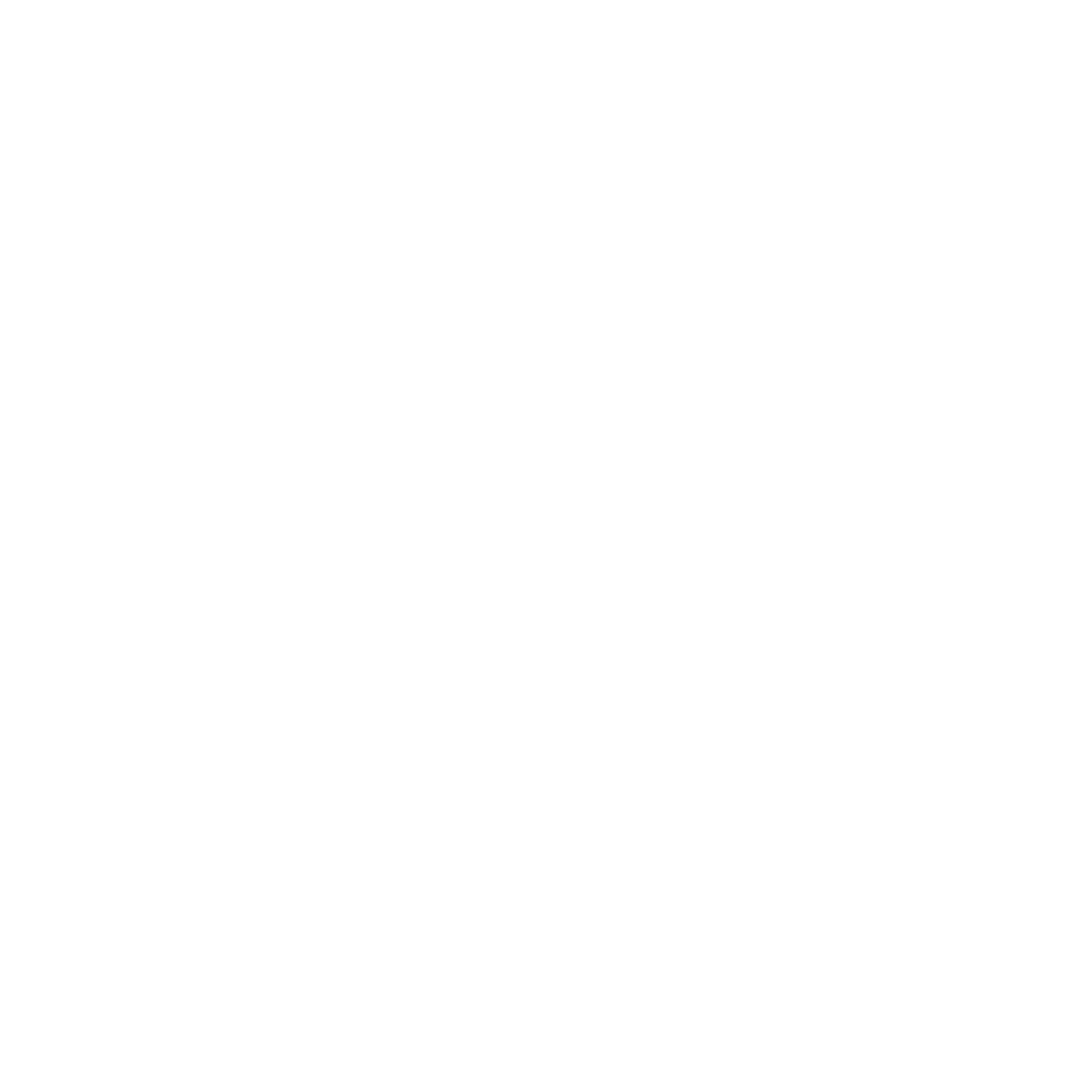 Logo Vincesascie