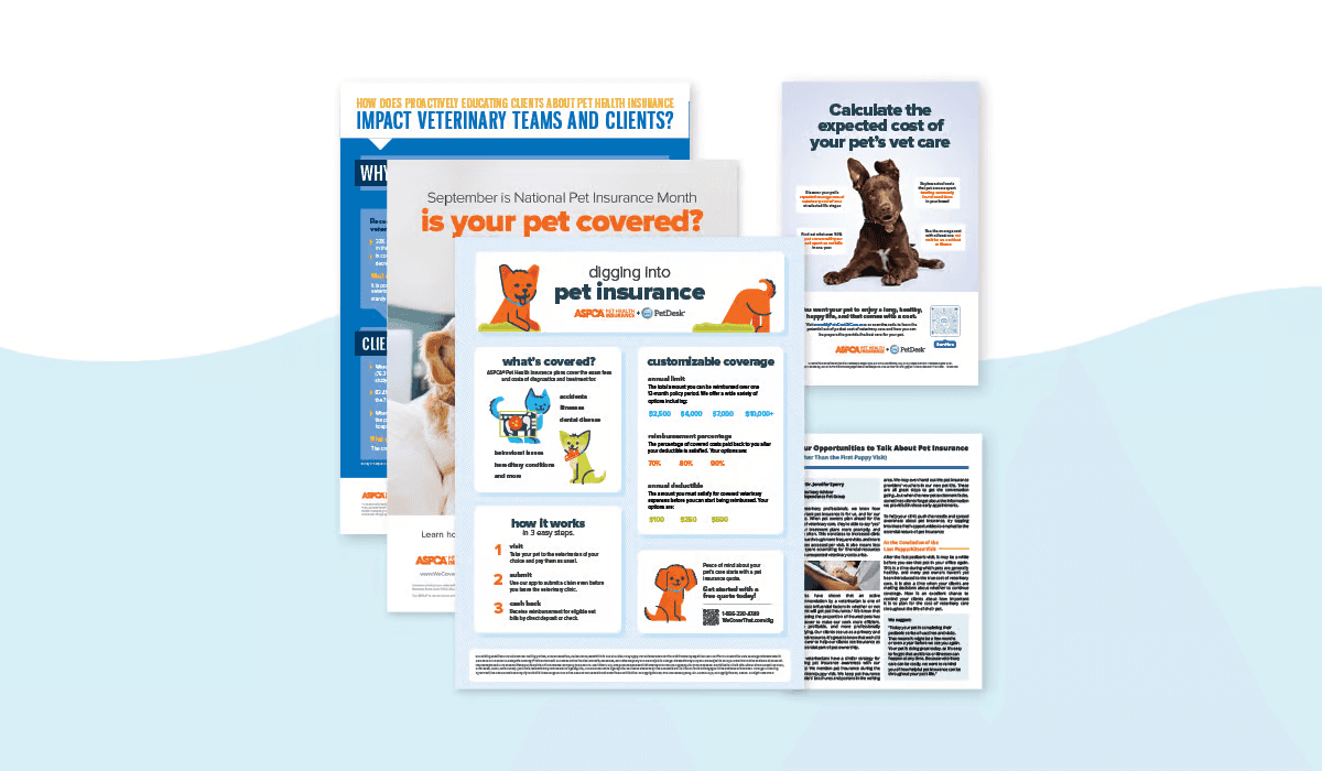 The Ultimate Guide to Spring Cleaning your Veterinary Practice|The Ultimate Guide to Spring Cleaning Your Veterinary Practice eBook