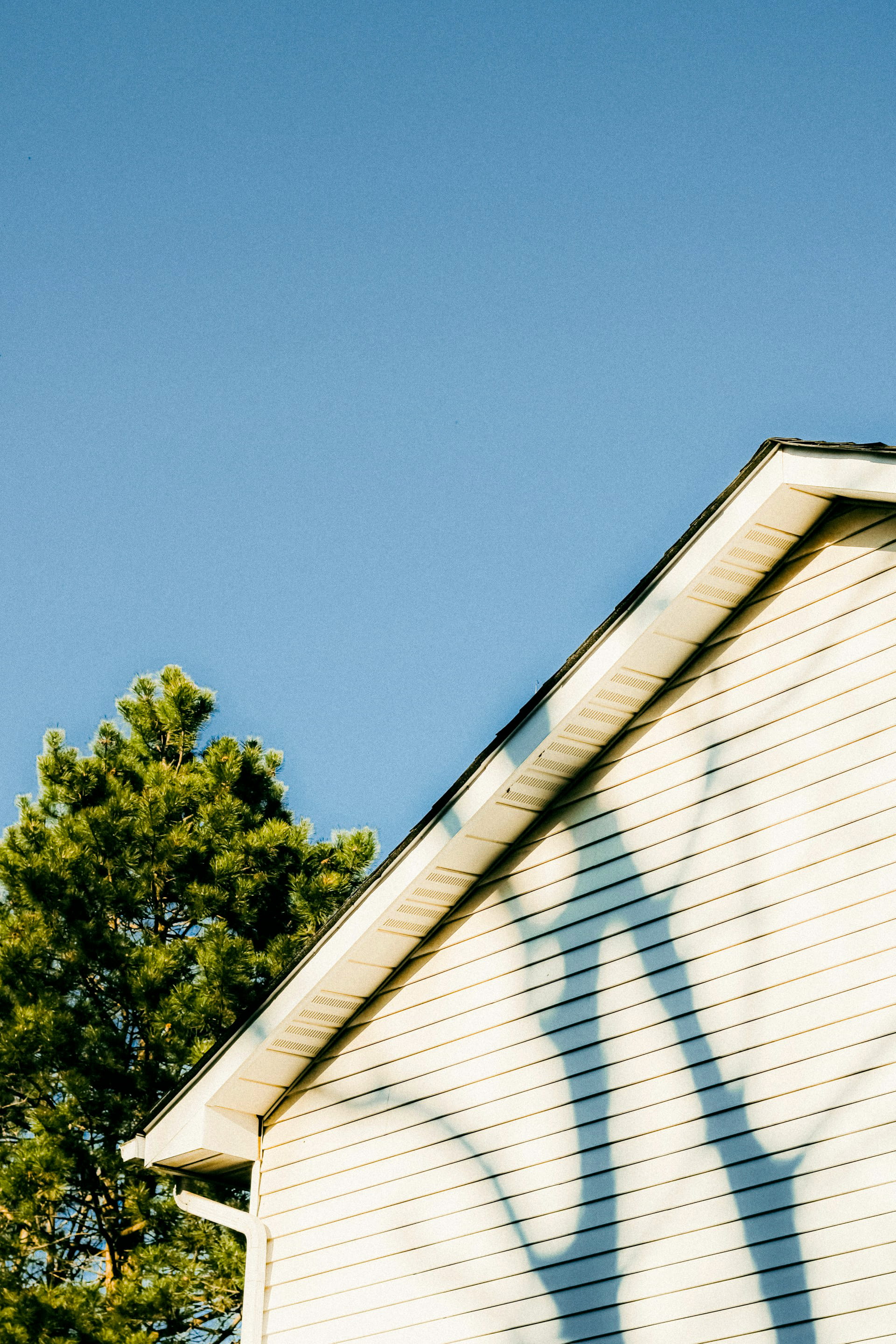side of suburban home and tree in warm sunlight against clear blue sky