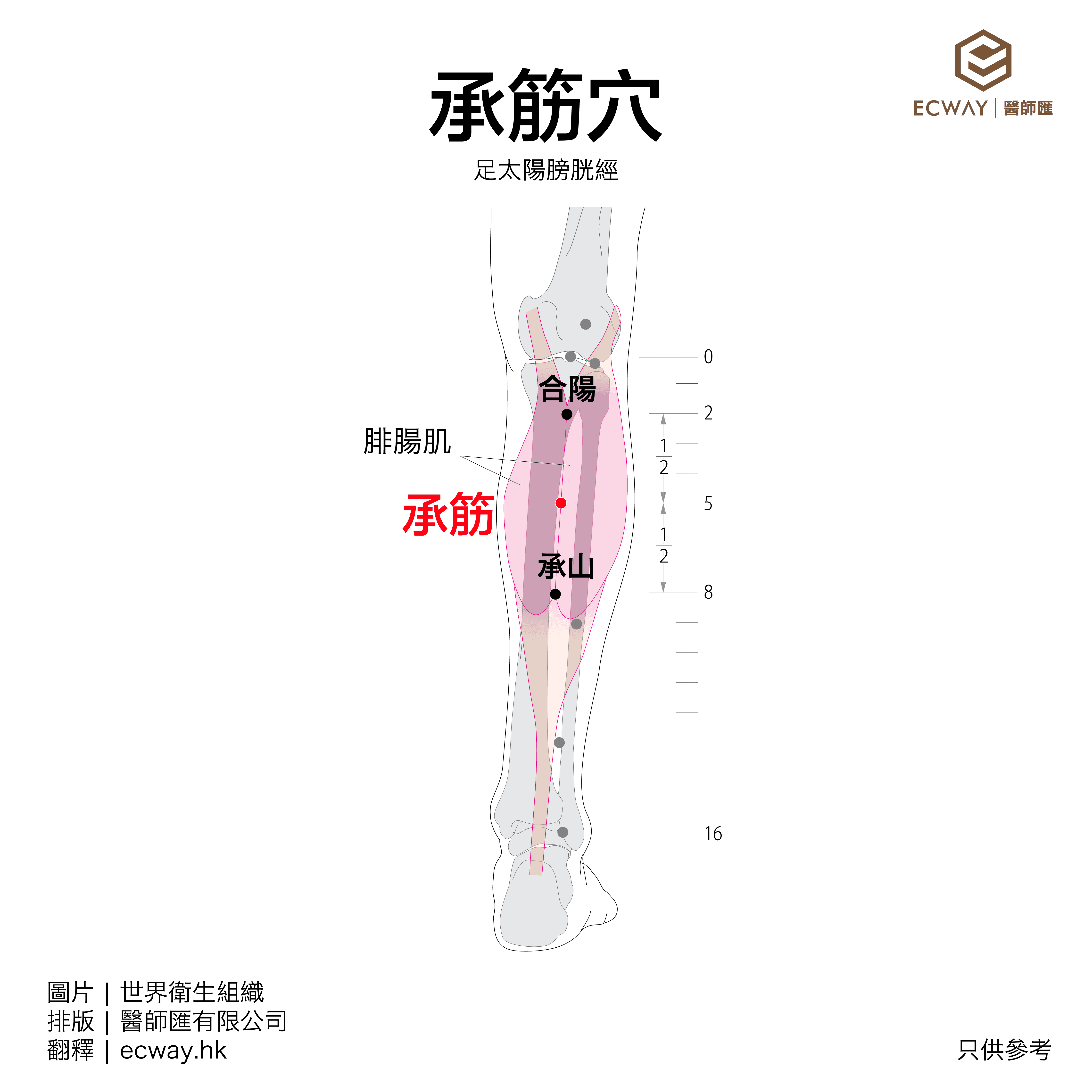 承筋穴