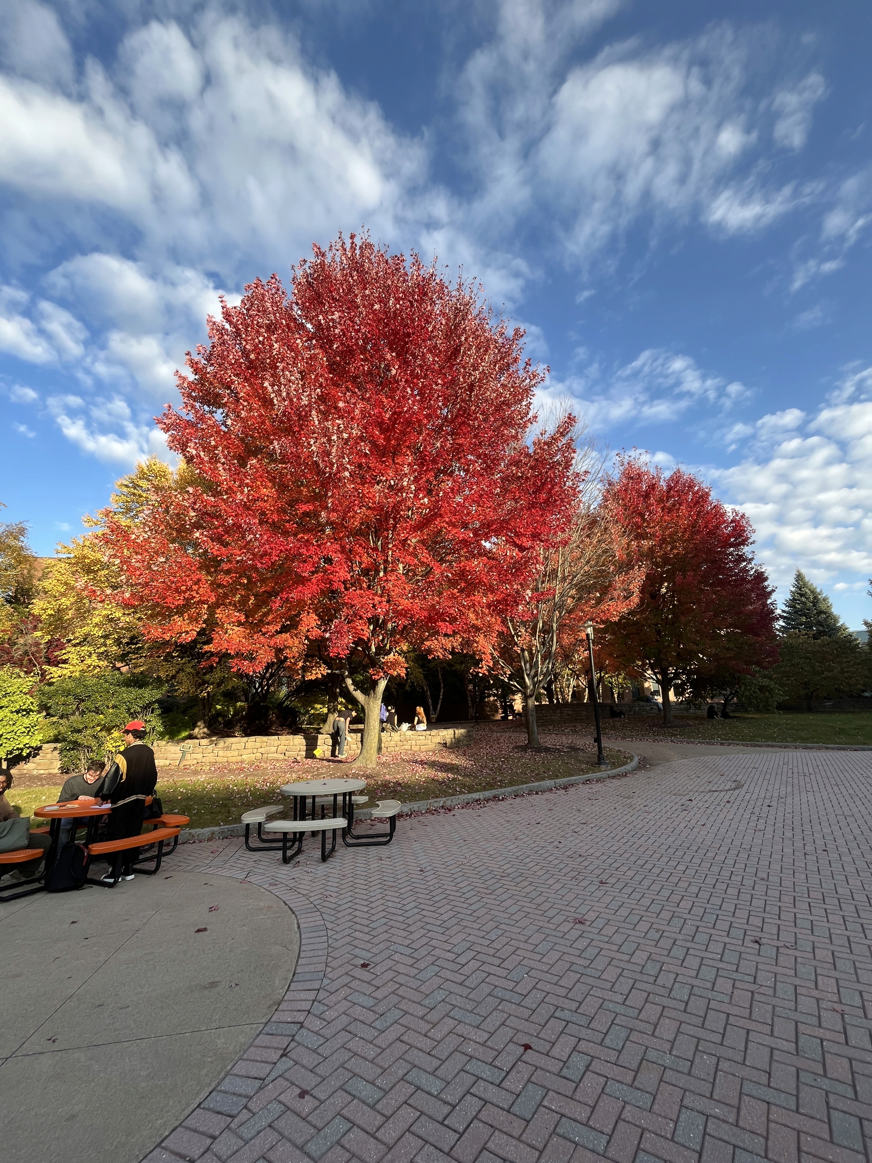 a person standing in front of a building