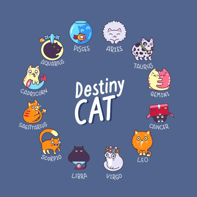 Mystical Destiny Cat Reading Astrology Human Design