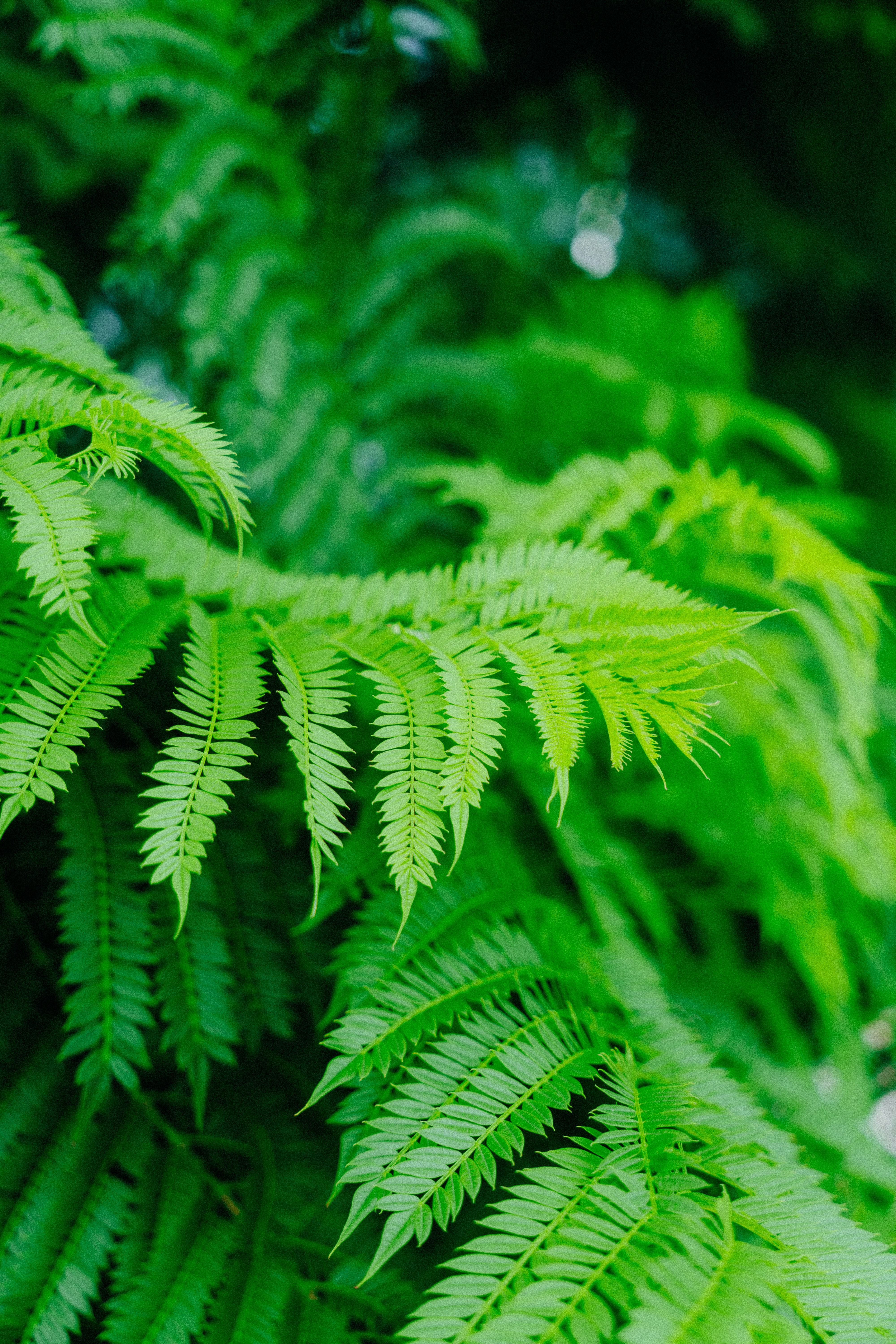 Futuristic Red Fashion Portrait of a Woman