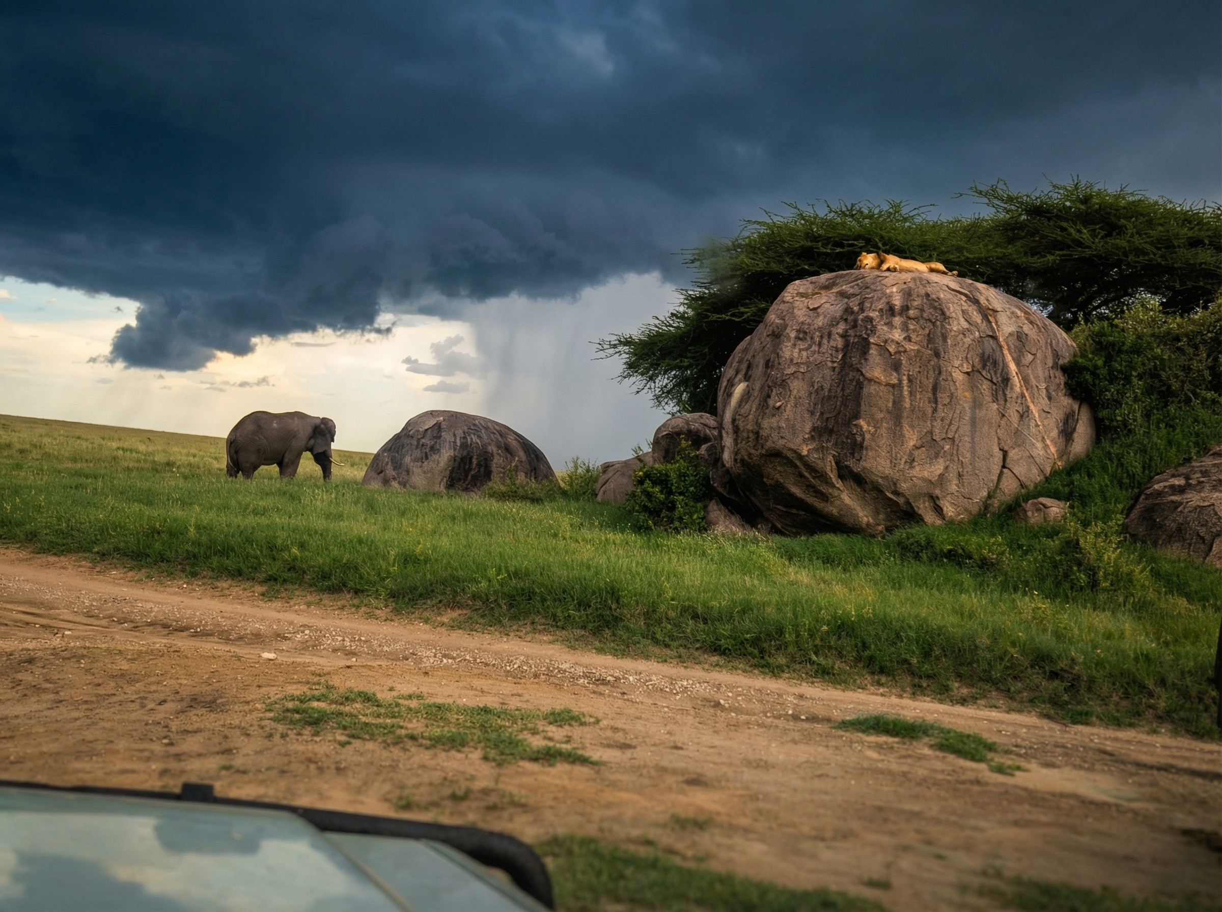 Woman enjoying sunset picnic in the desert, surrounded by lanterns and golden light.