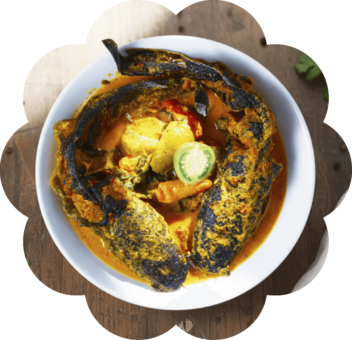 Lele bongsor standar ekspor