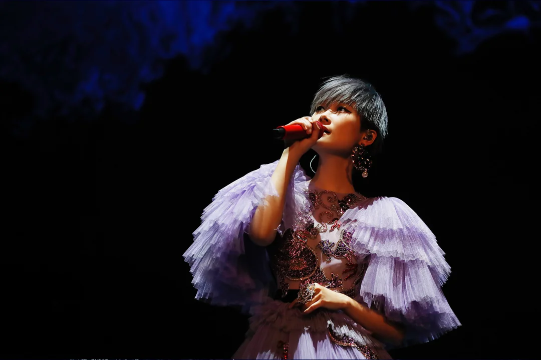 Live concert image showing a singer performing in a pale purple stage outfit, used as visual reference for the Liu Xing illustrated album and tour artwork series.