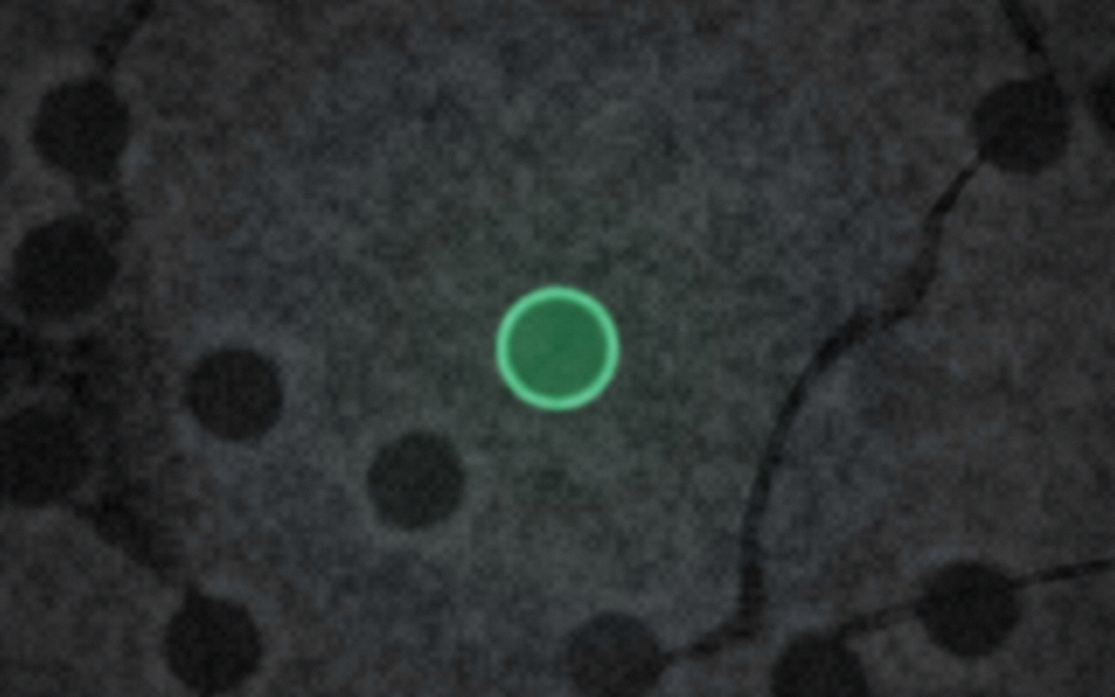 Cryo-EM density · 2.9 Å