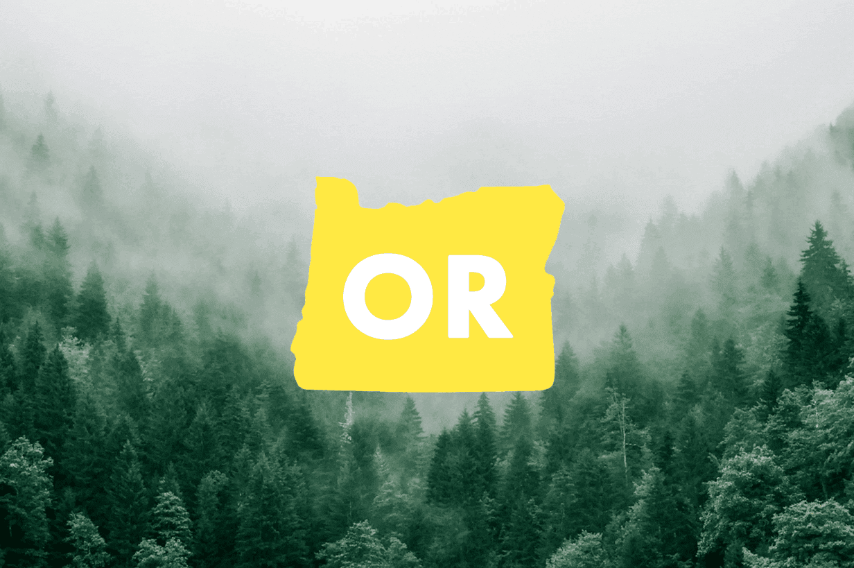 Yellow Oregon mark over a misty forest
