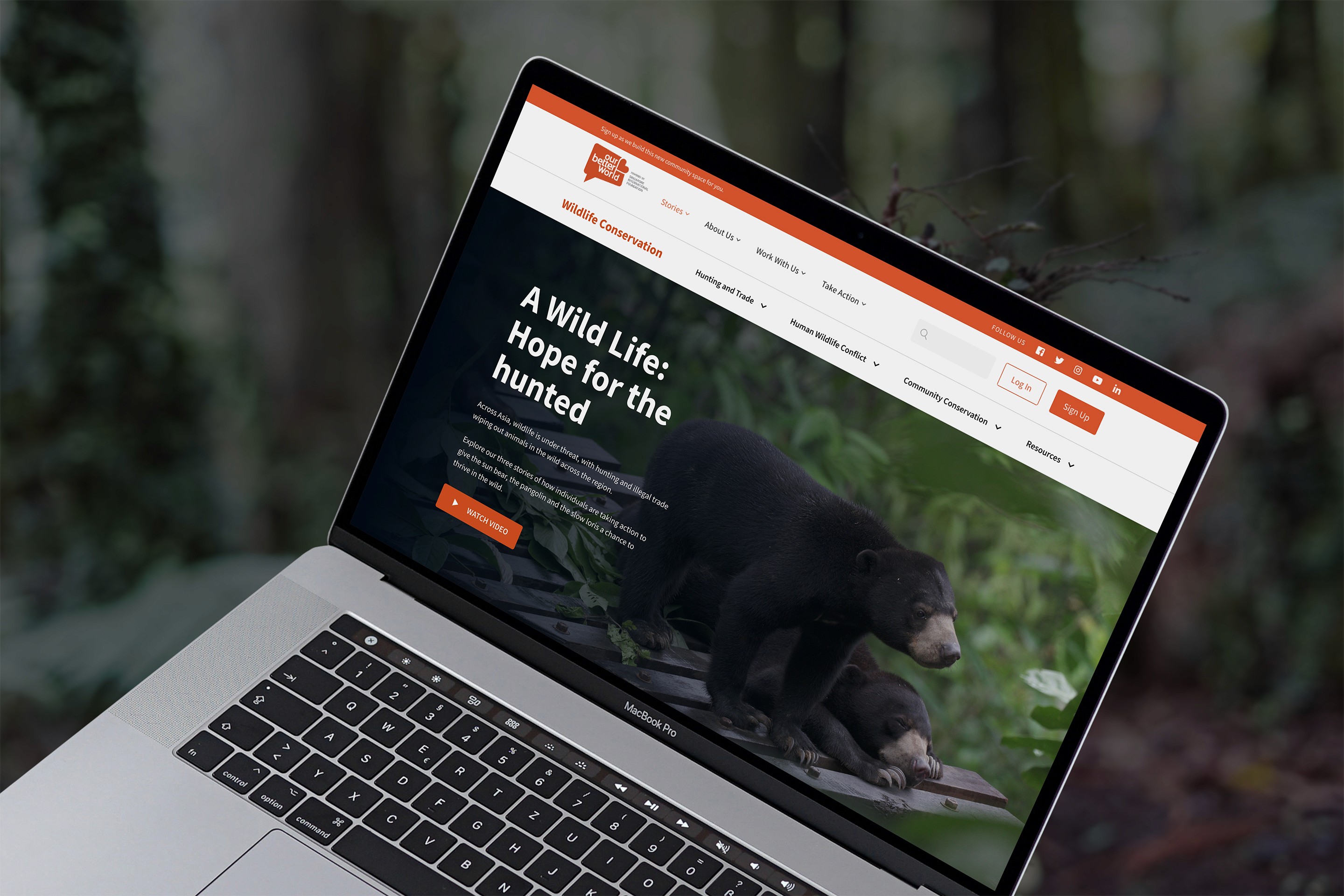 A laptop screen displaying the Our Better World homepage, featuring a hero section with an image of a bear and the title 'A Wild Life: Hope for the Hunted,' with a CTA to watch a video