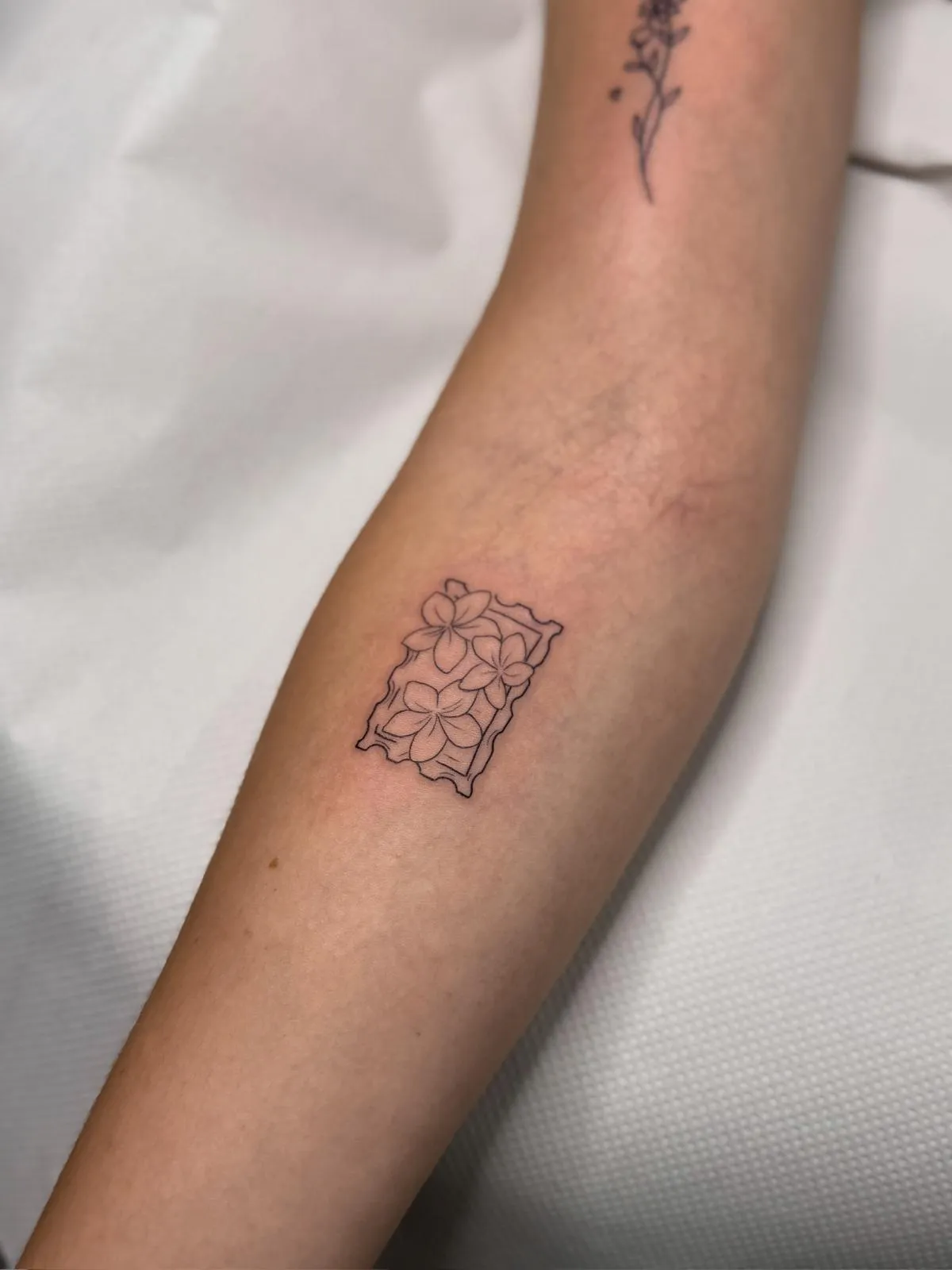 Tatuaje fine line en antebrazo de flores en Mostoles
