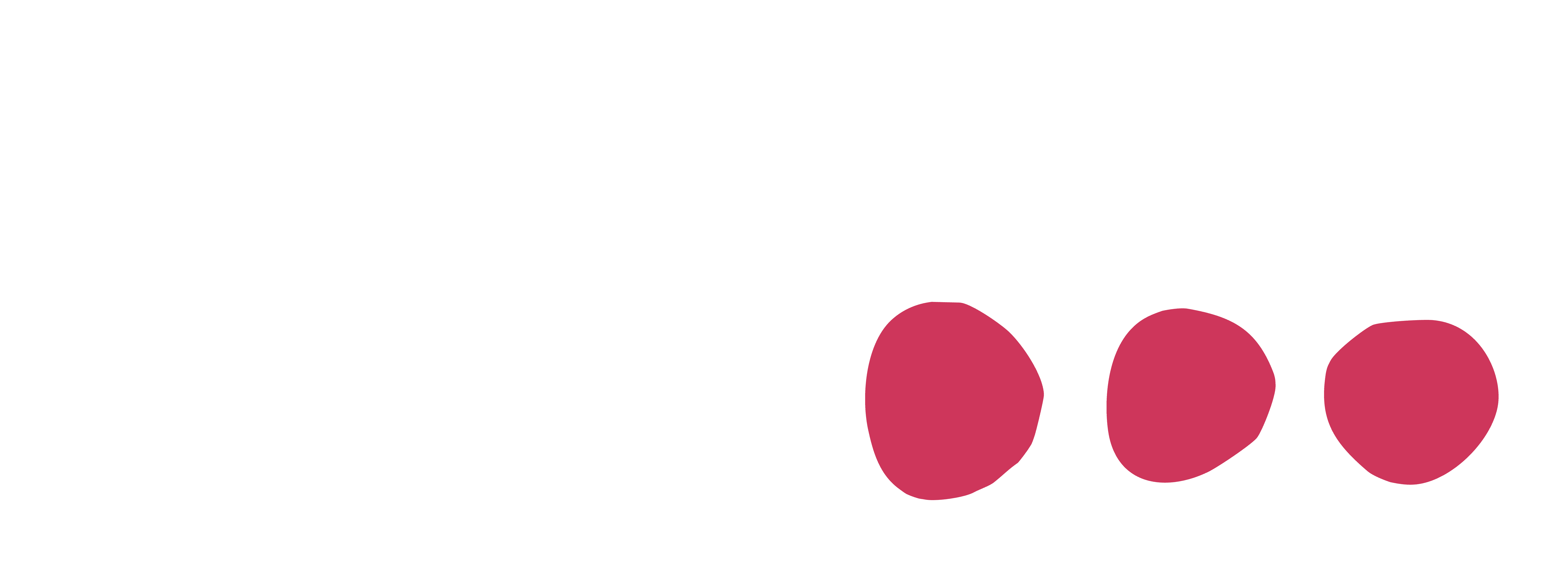 site logo with the name "Other Stuff Studios" in white and 3 slightly different spherical red shapes at the end.
