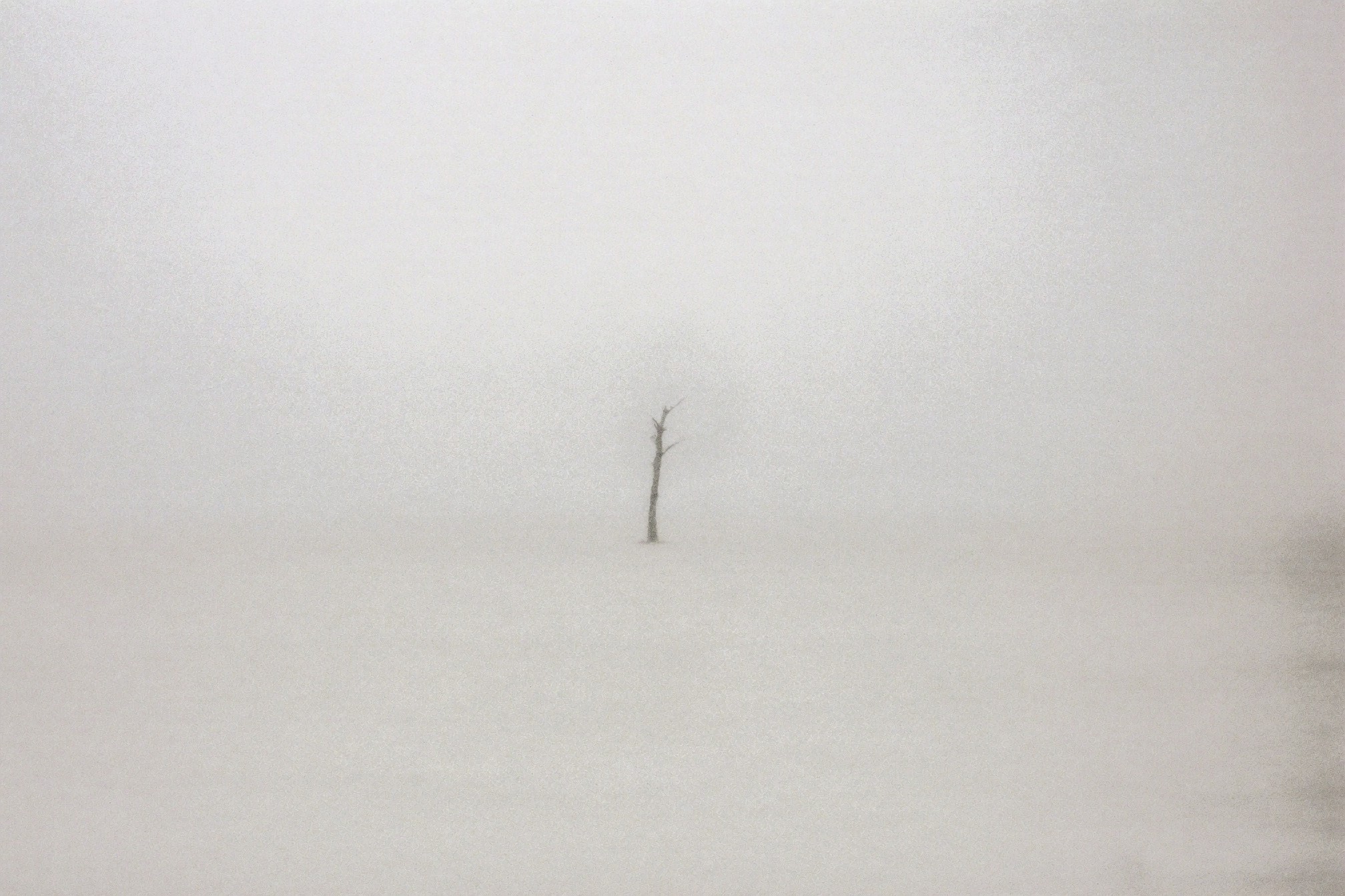 KABUT Drop 02 — WHITEOUT