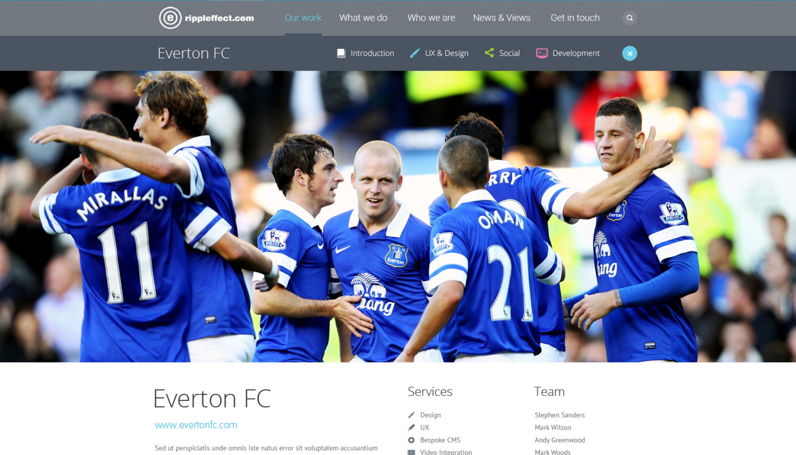 Case study concept for rippleffect.com