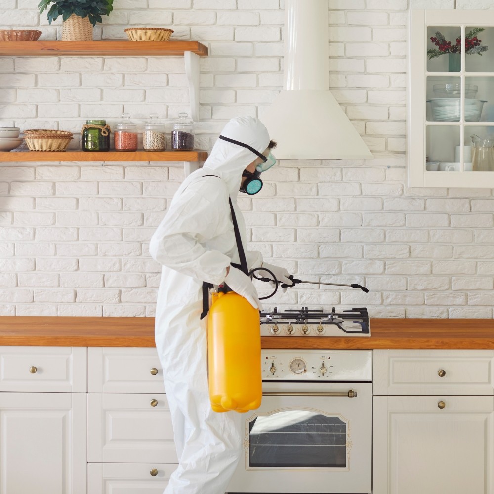 a close up of a rat on a black surface