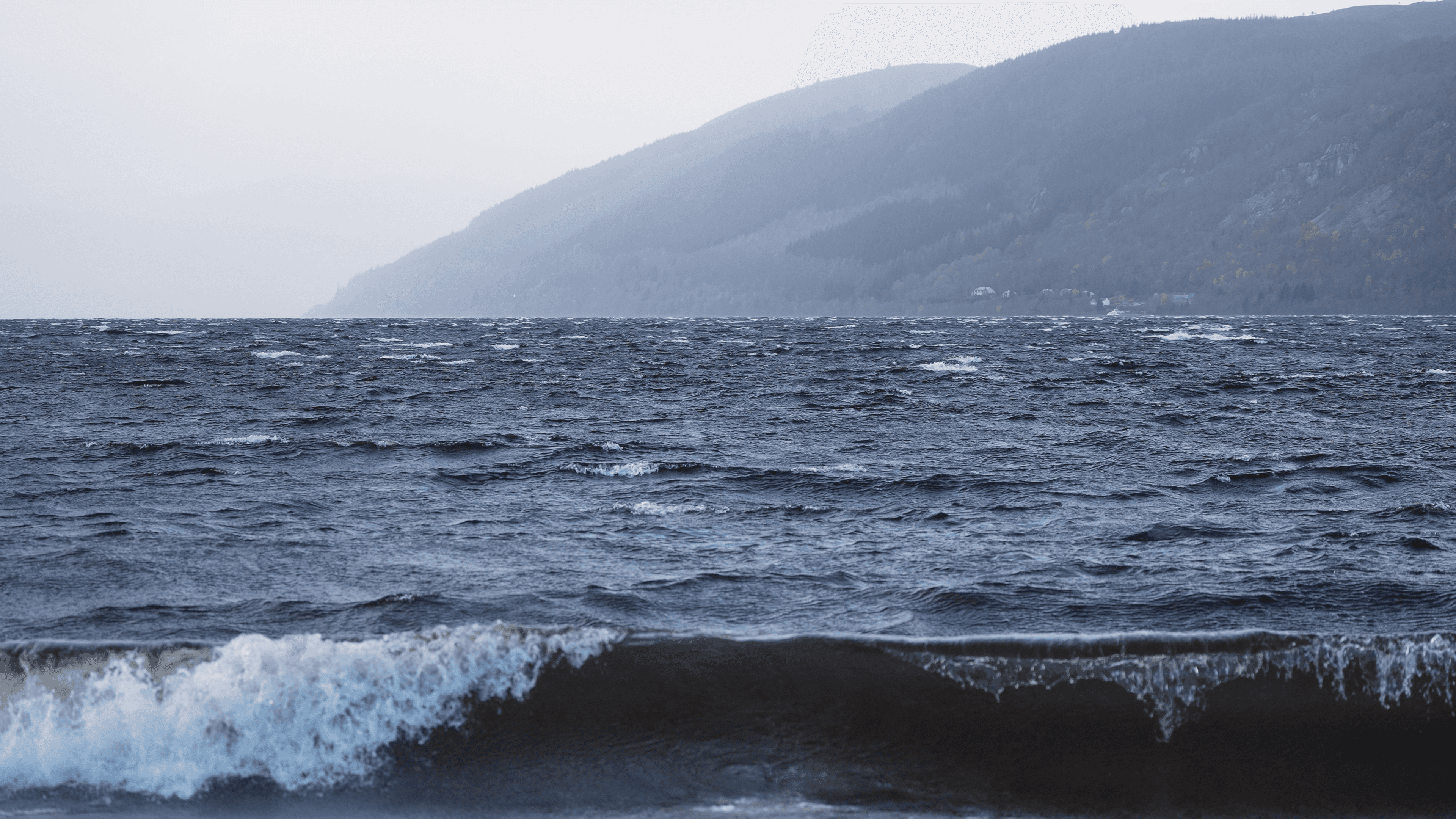 The image featured in the middle of the about us page