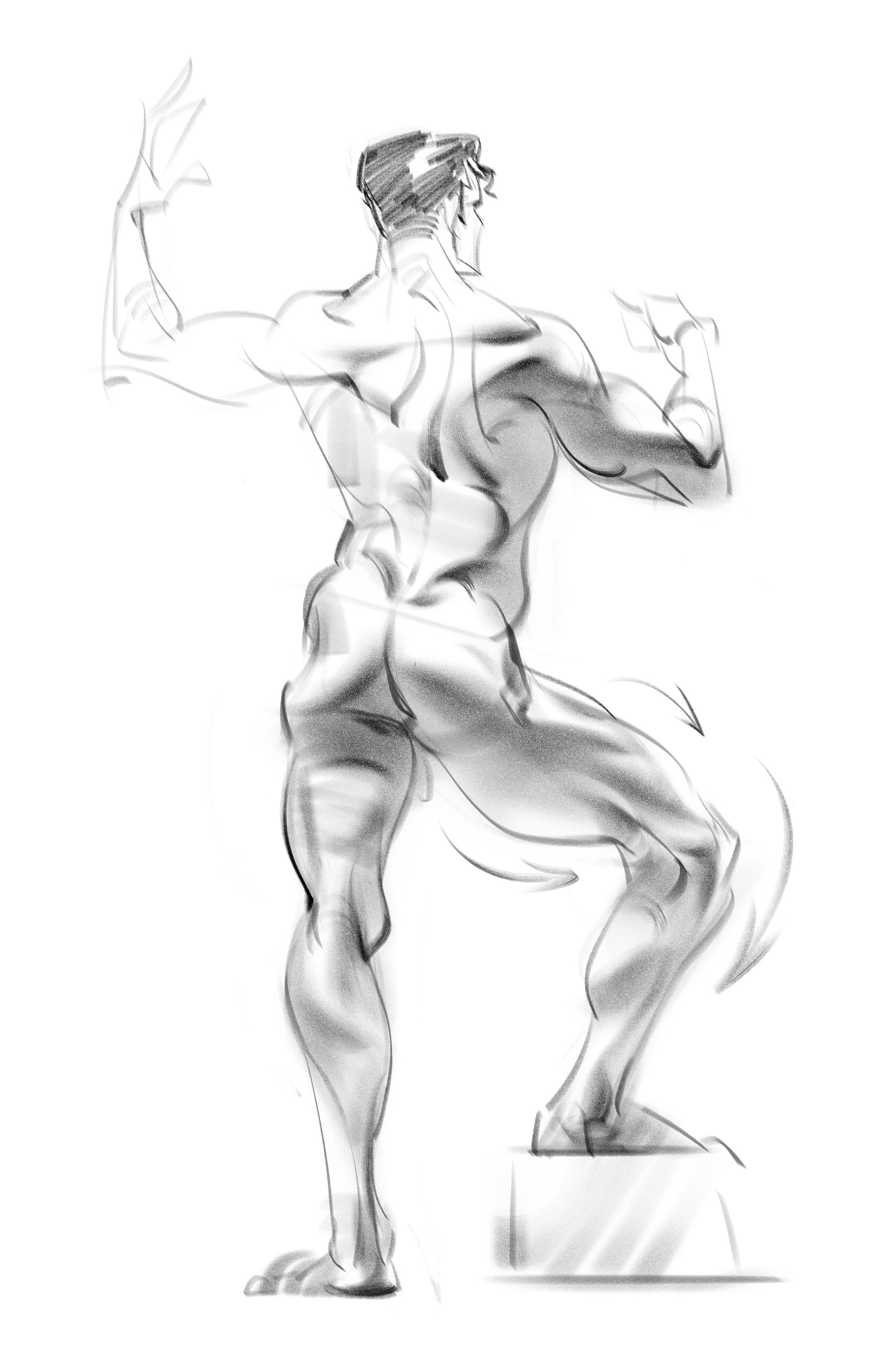 Anatomy