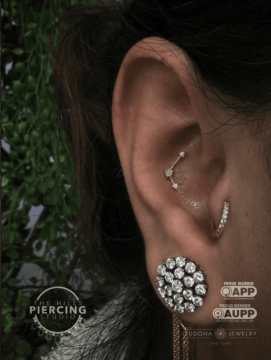 Experts Section Image