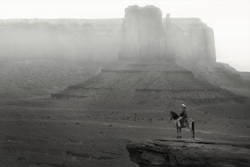 An antelope in a field at sunset