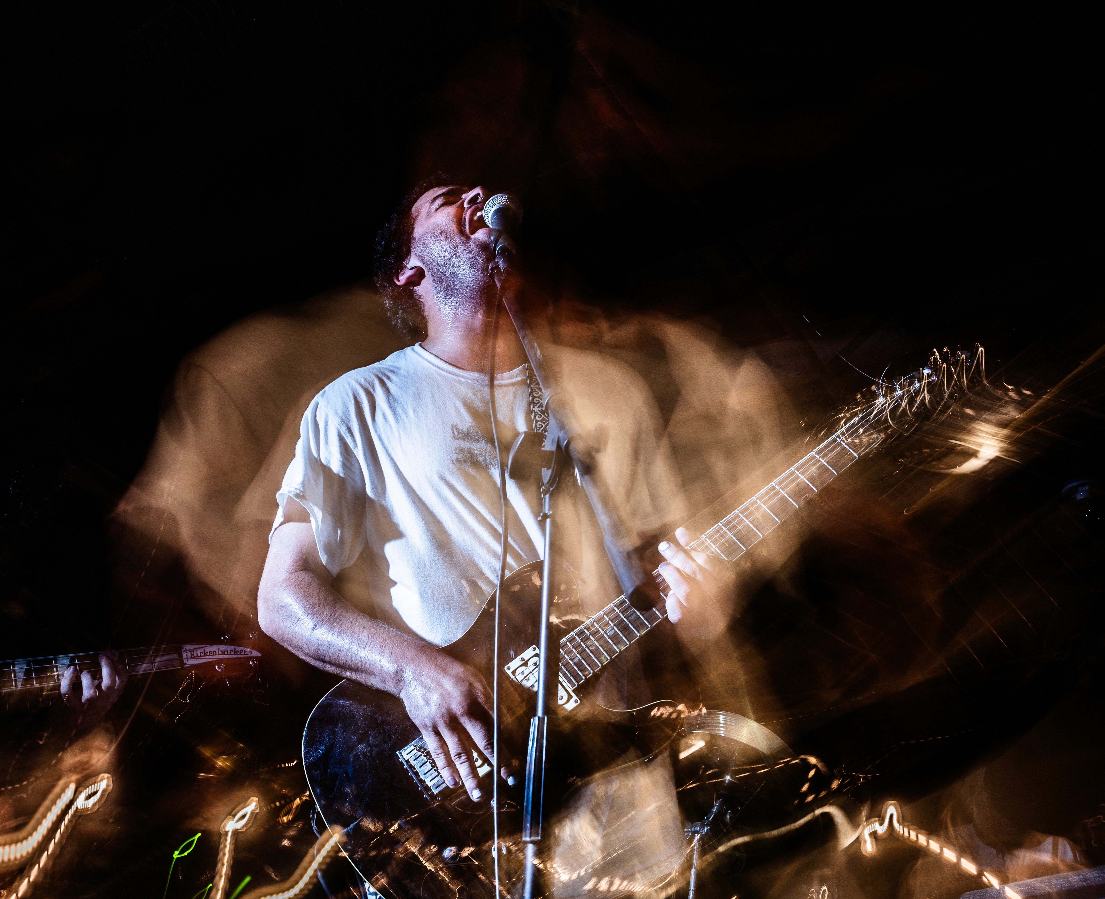 fall 2024. nikon z5. san jose, ca.