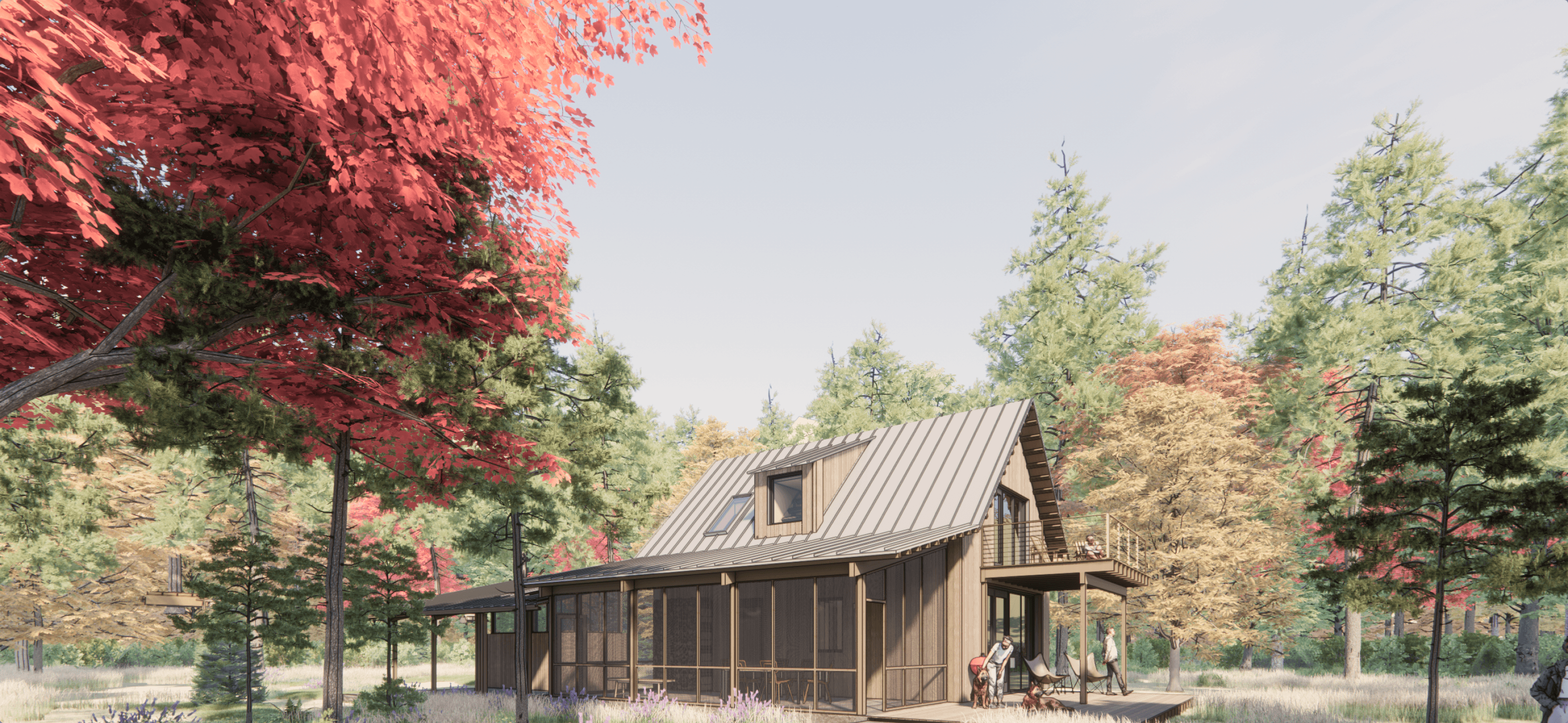 TMBR home set in a forested landscape, highlighting the integration of sustainable timber construction with natural surroundings.