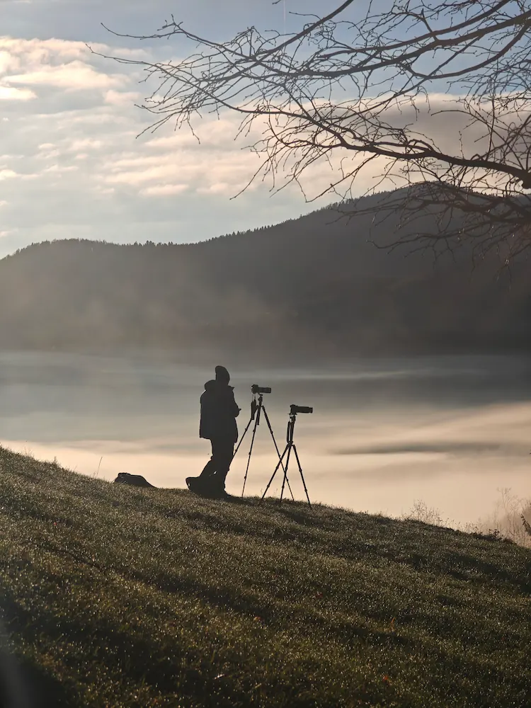 A winding road emerges from fog at Črni Kal, Slovenia, illuminated by vibrant sunset colors on the horizon.