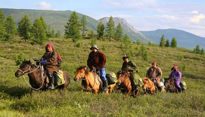 people walking on street near buildings during daytime