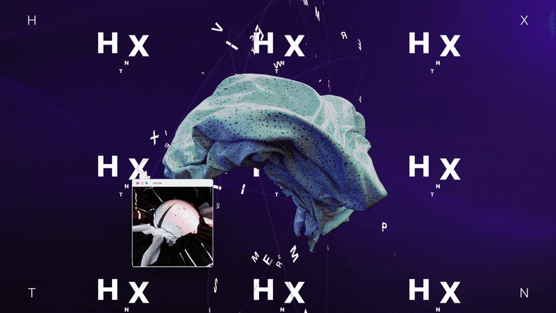 HXTN Typography logo animation