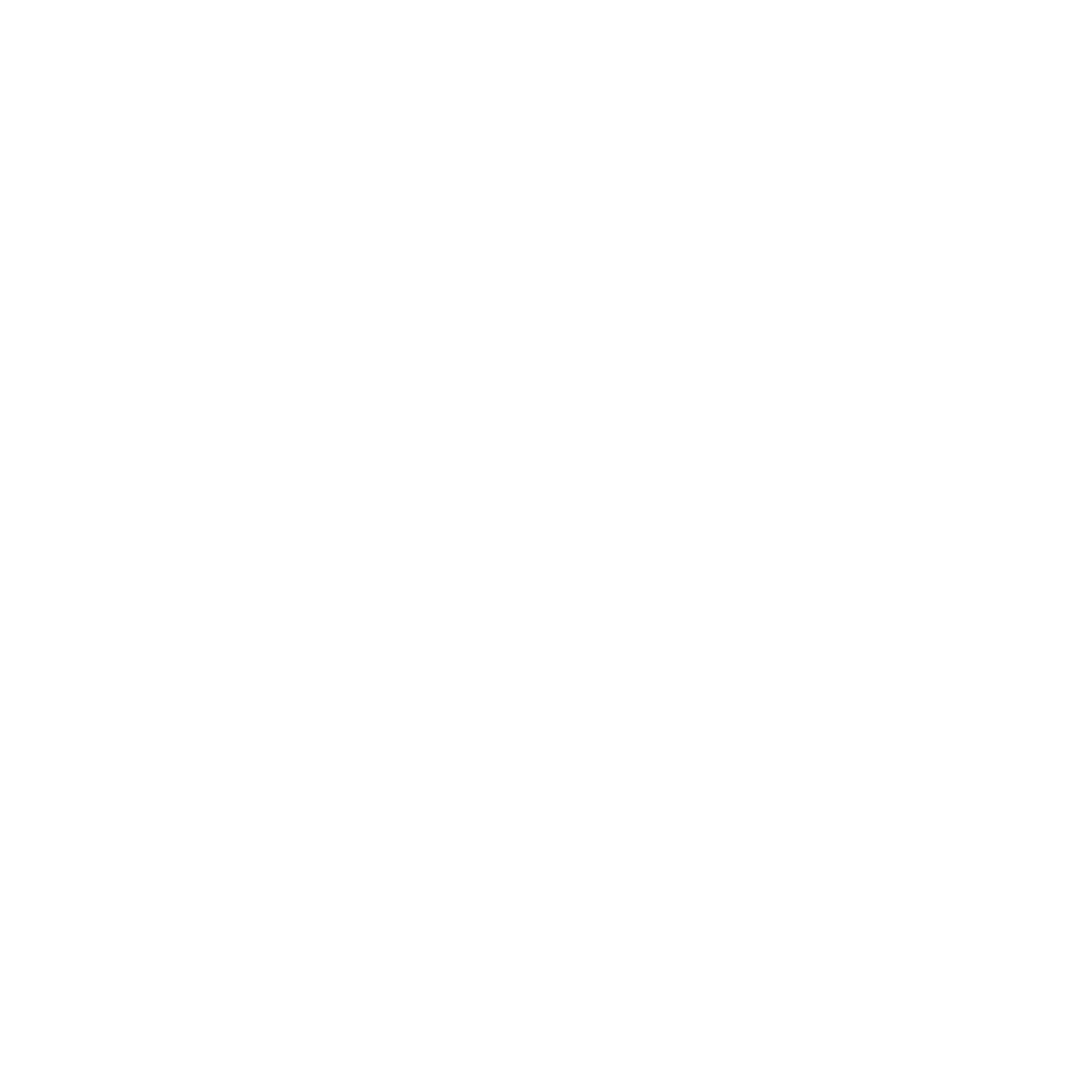 xAI/GROK 2 Model