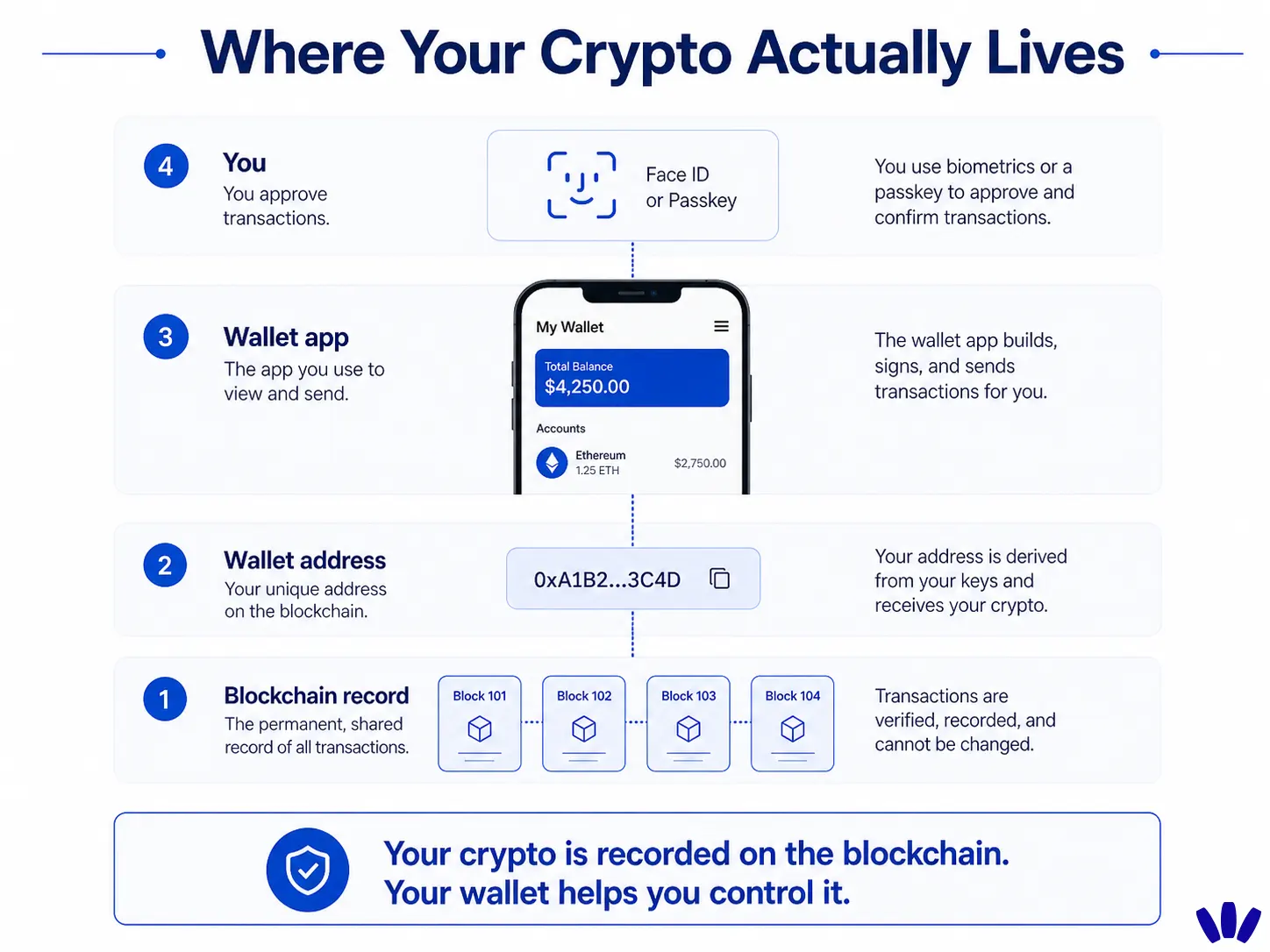 where your crypto actually lives