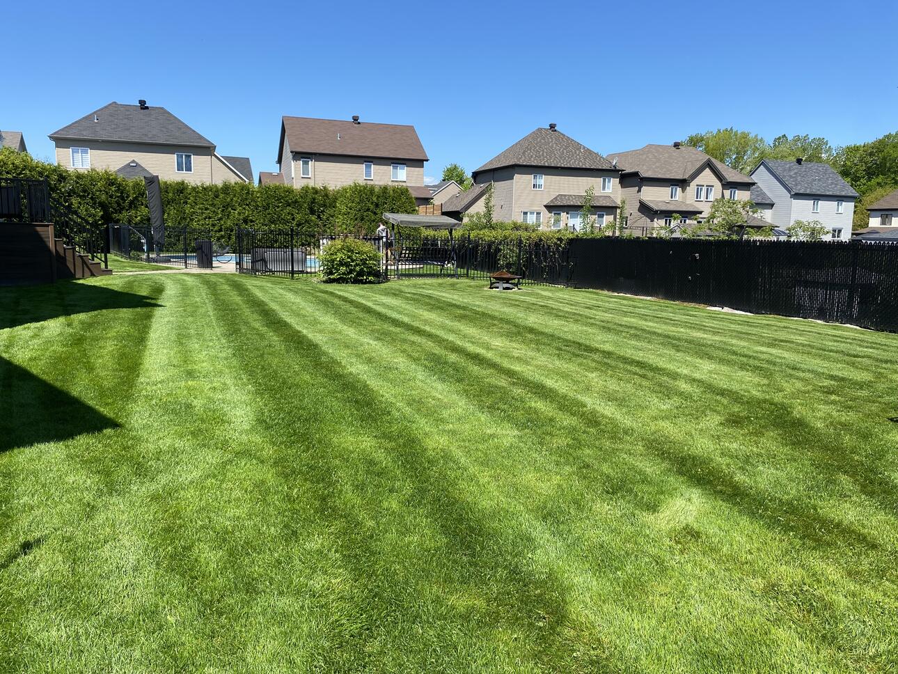 Pelouse résidentielle verte et bien tondue dans un quartier de banlieue.
