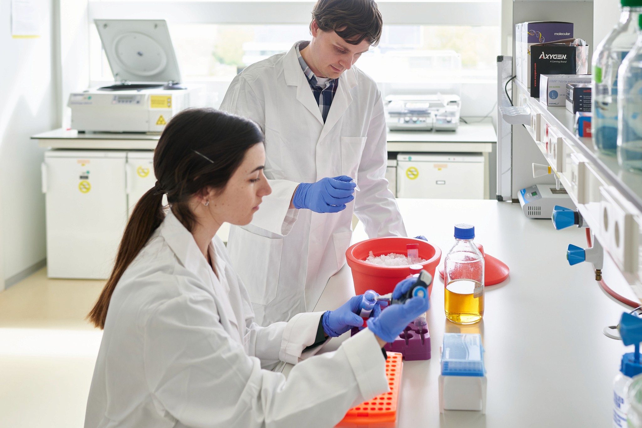 person in lab working on laptop