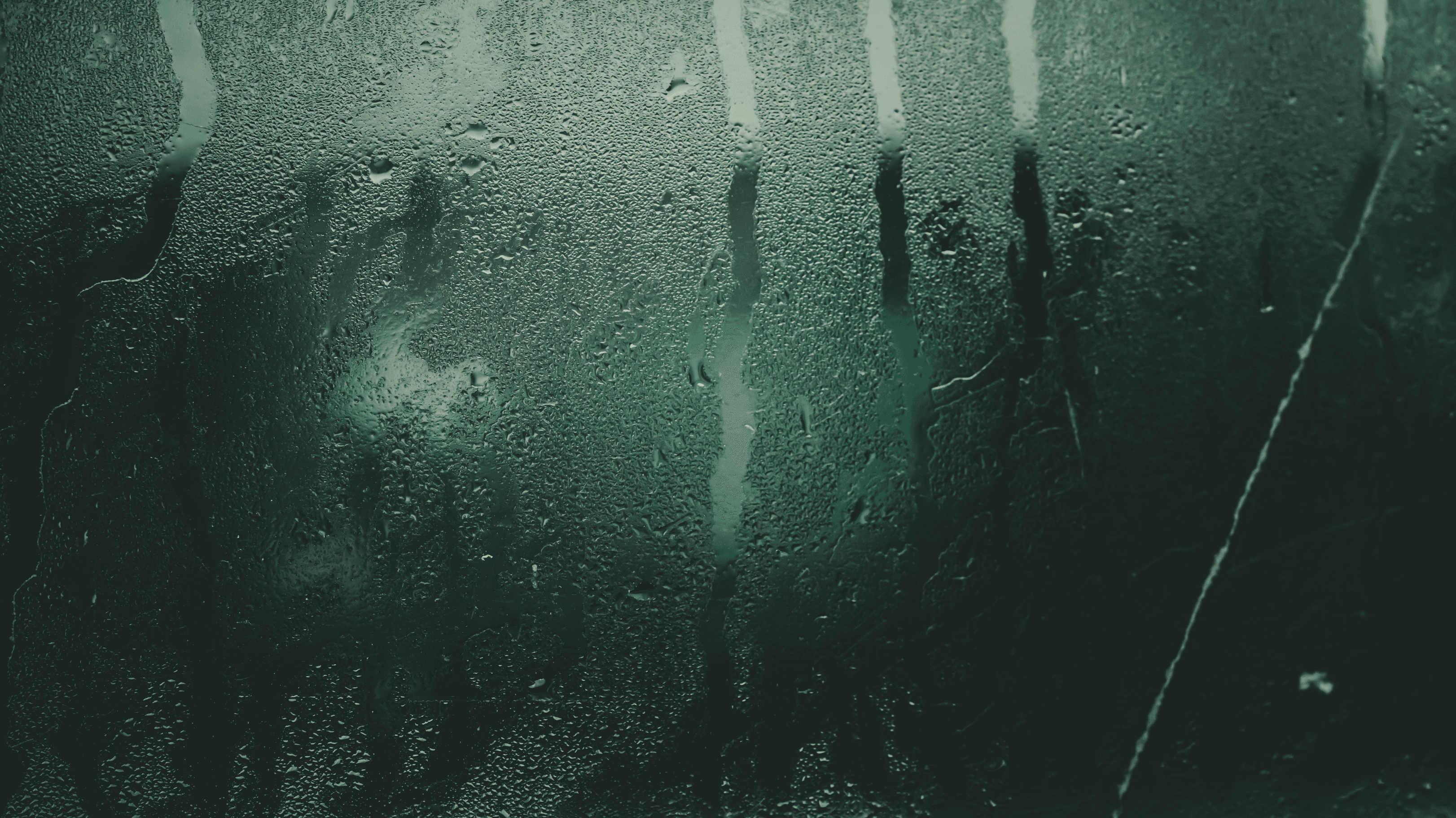 Mold Growth: Why Moisture Is the Real Problem