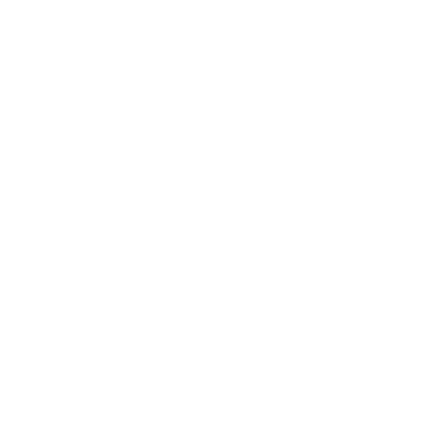 Velora logo