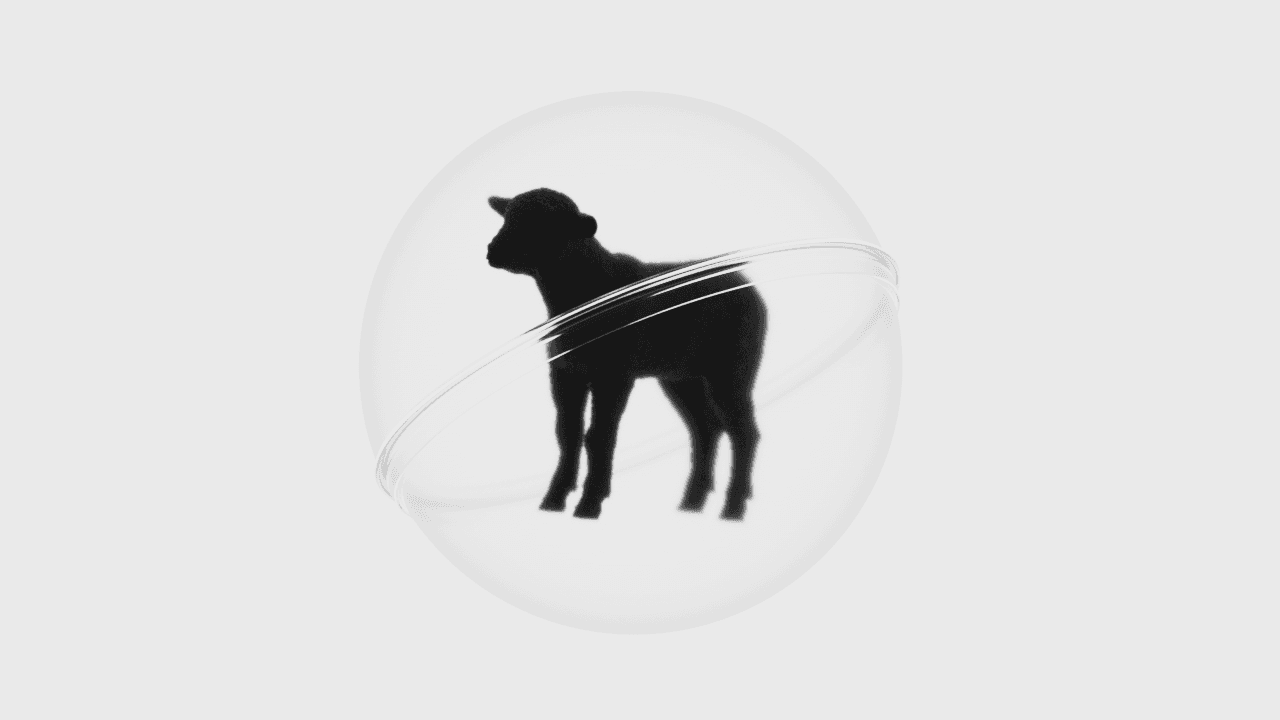 A black sheep inside a transparent capsule.