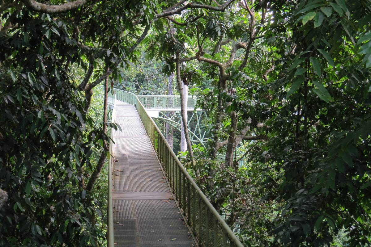 three brown wooden boat on blue lake water taken at daytime
