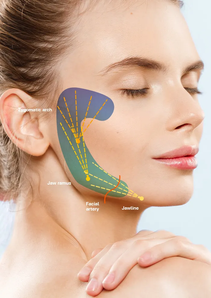 CaHA/CMC Filler: Material Science, Porous Bio-Synthesized Advances & Nasal Shaping Performance