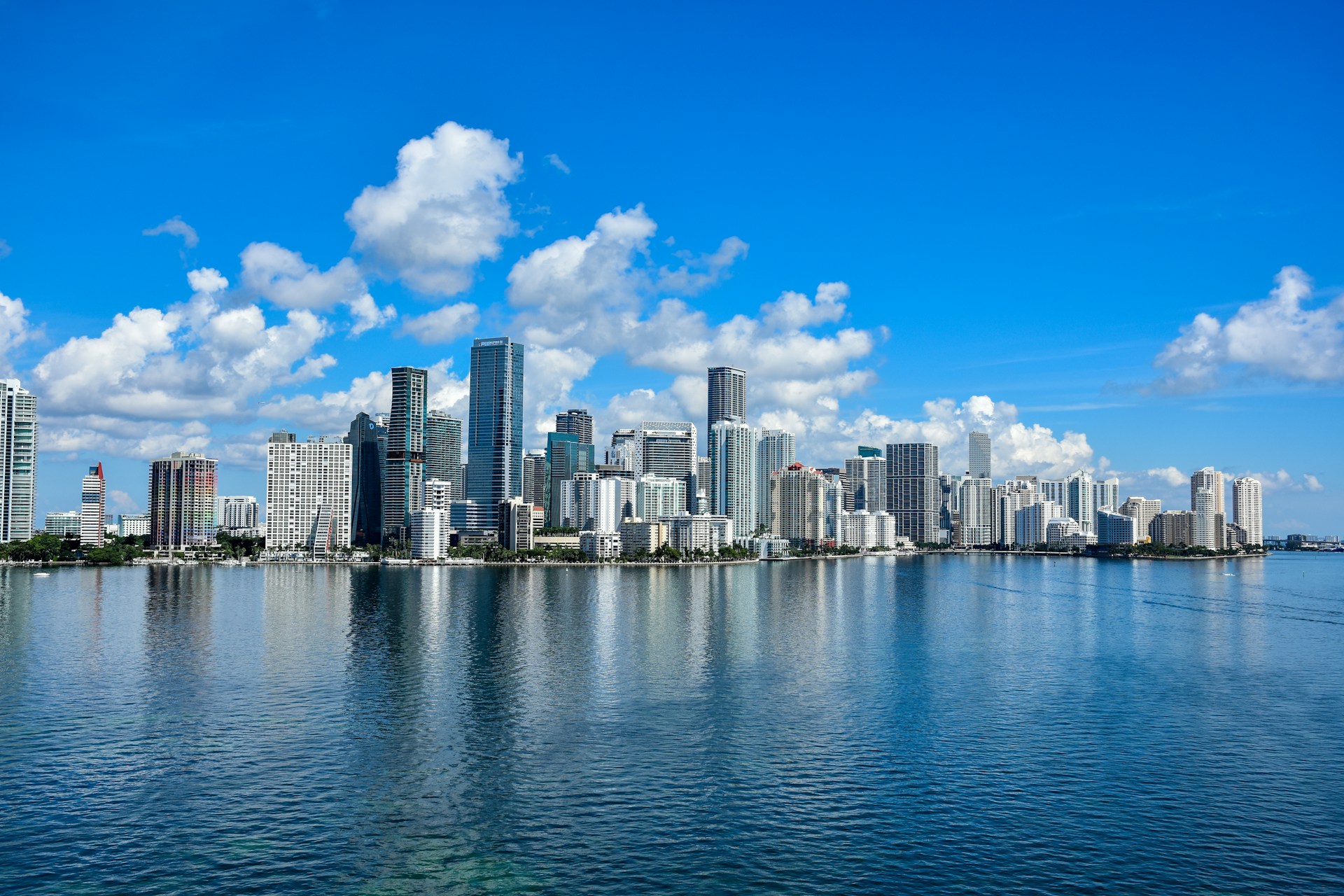 Miami, FL SEO Company hero image