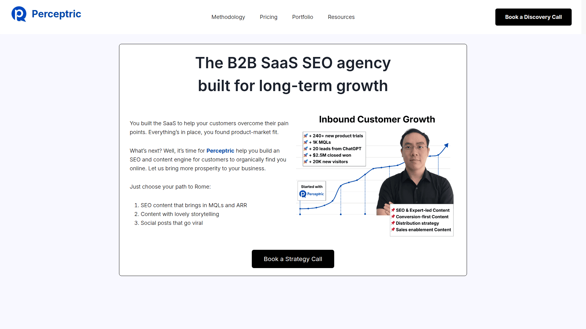 Screenshot of https://perceptric.com/