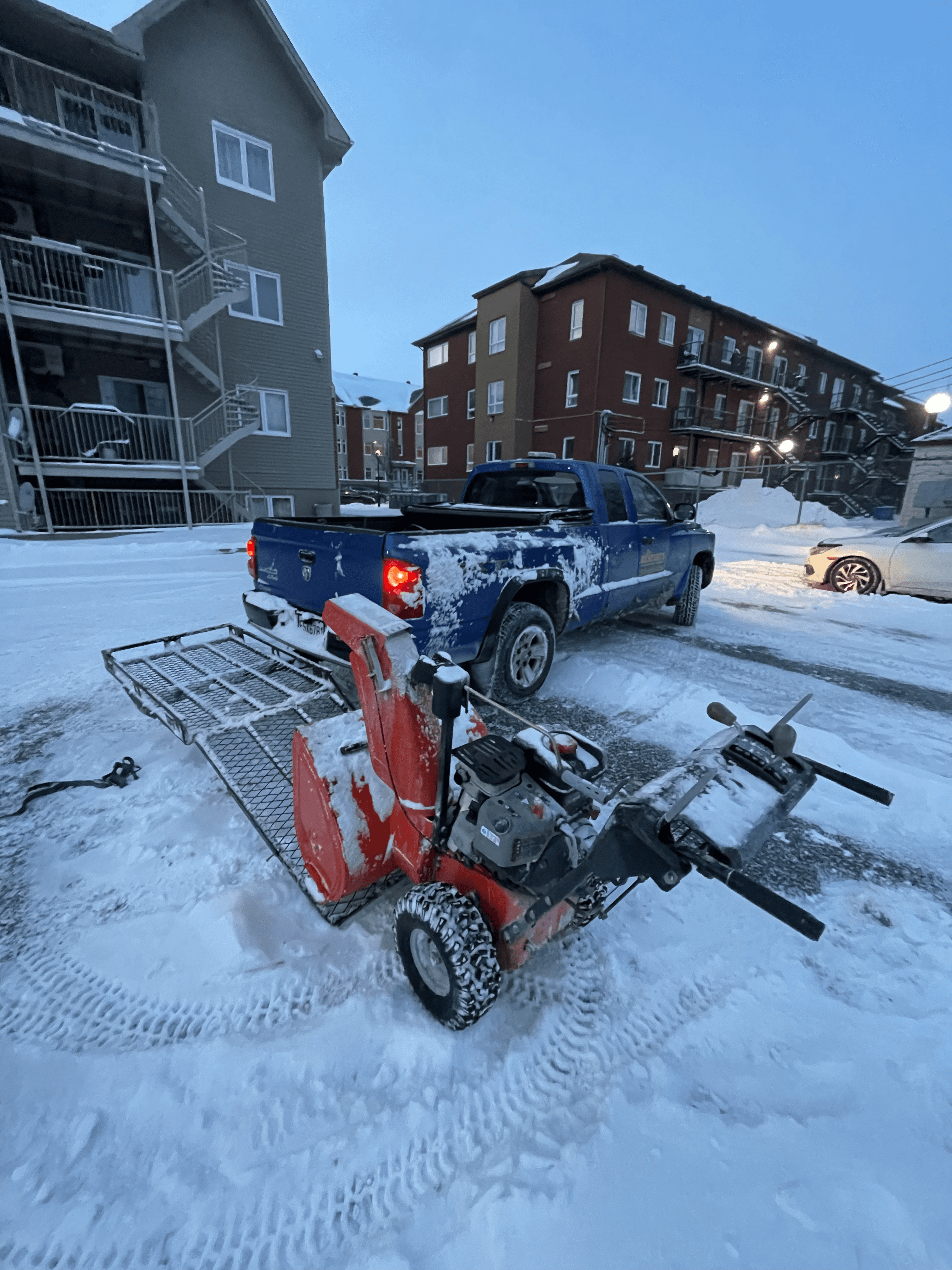 taille de haie compagnie