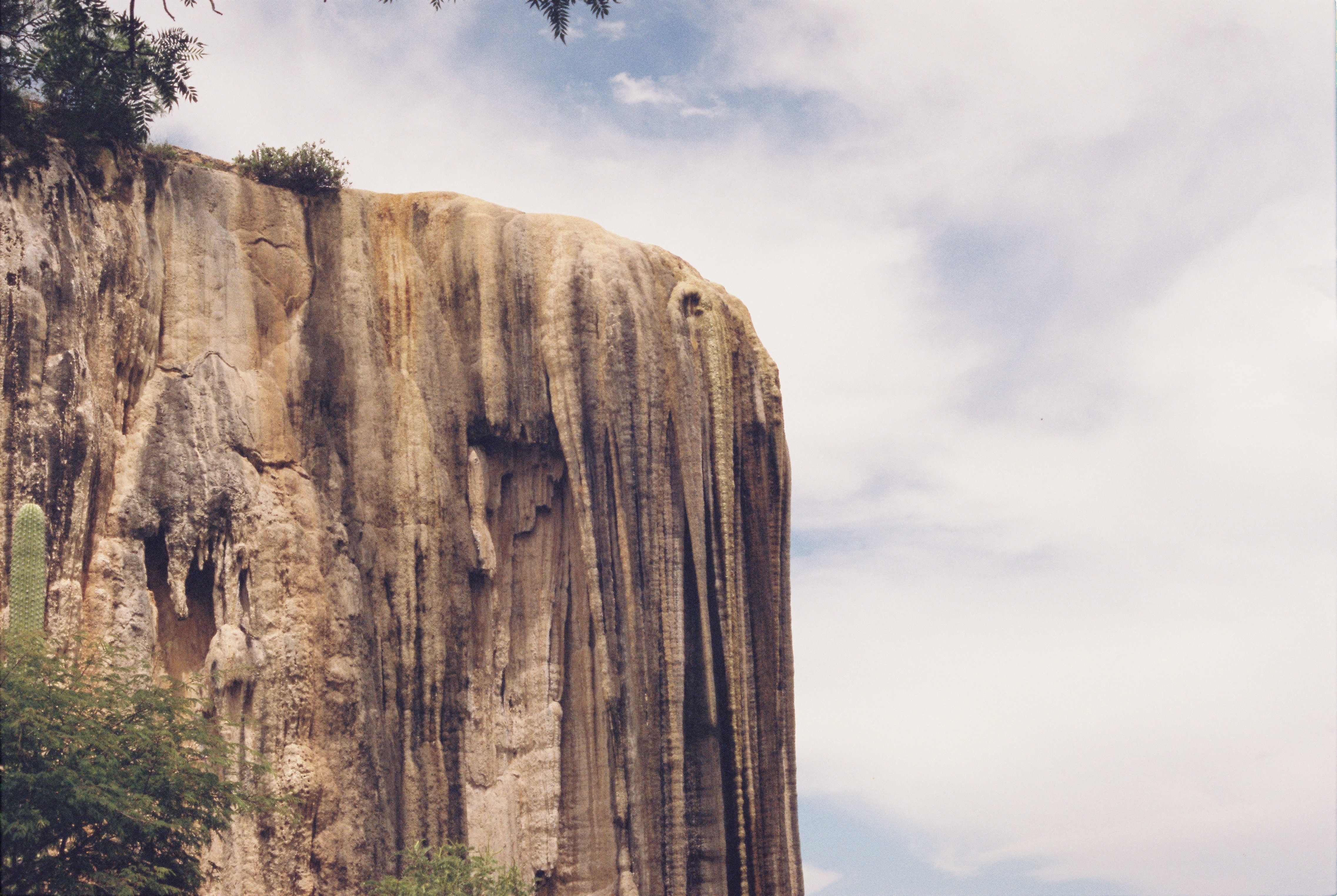 Photo by Renee G. Gudiño