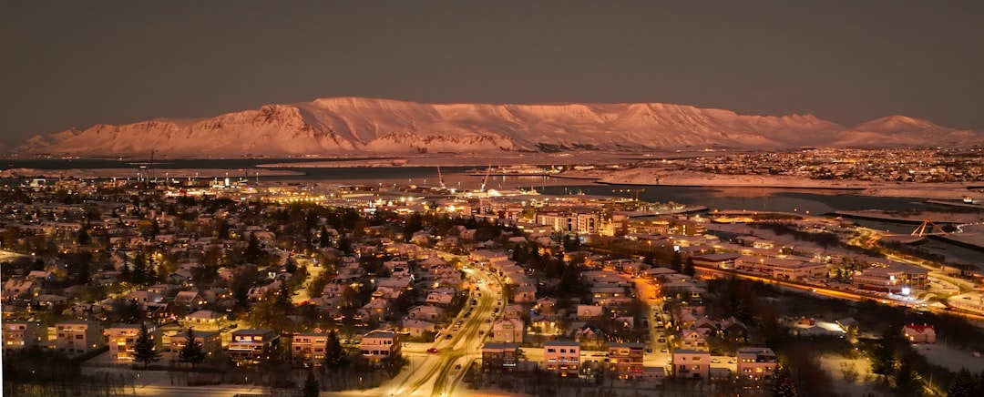 Fort Collins, CO SEO Company hero image