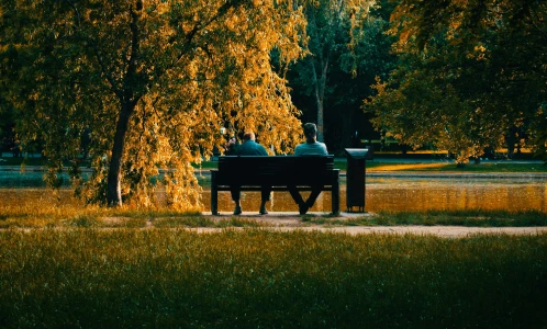 Home Page About Section Image 3