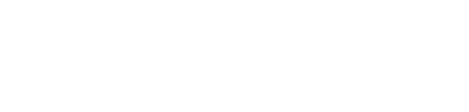 Company logo in white