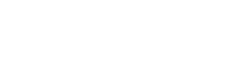 Orginal Logo