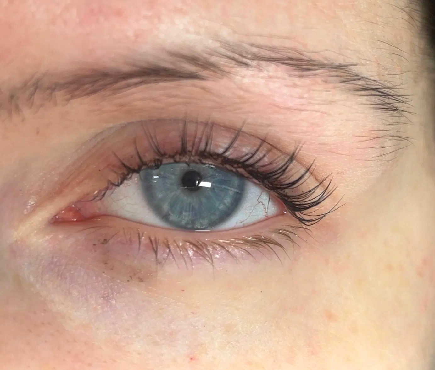Rehaussement de cils sur œil bleu – résultat naturel sans maquillage, cils allongés et recourbés pour un regard frais et lumineux.