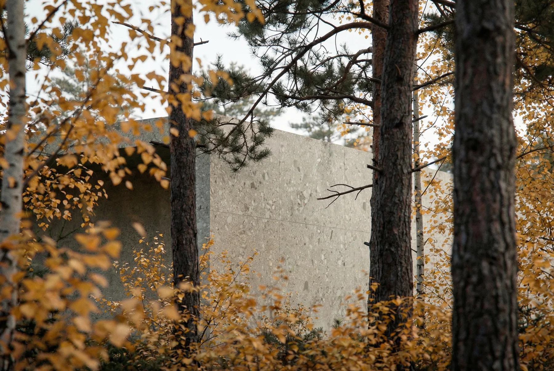 Memorial pavilion among autumn birch trees — Loenen National Field of Honour