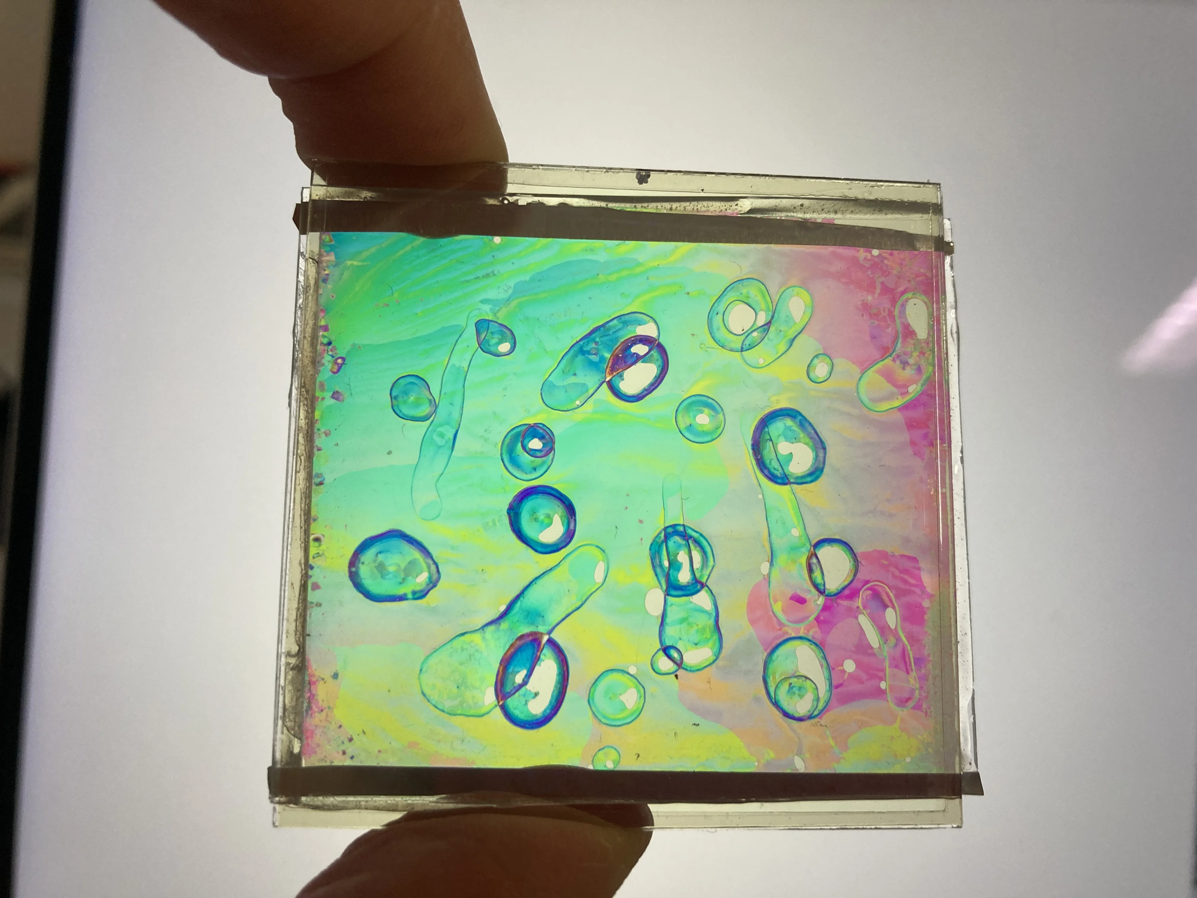 In the making. A slide containing liquid crystals, to be placed in the light projector. Done in collaboration with scientist Francesca Serra, SDU.