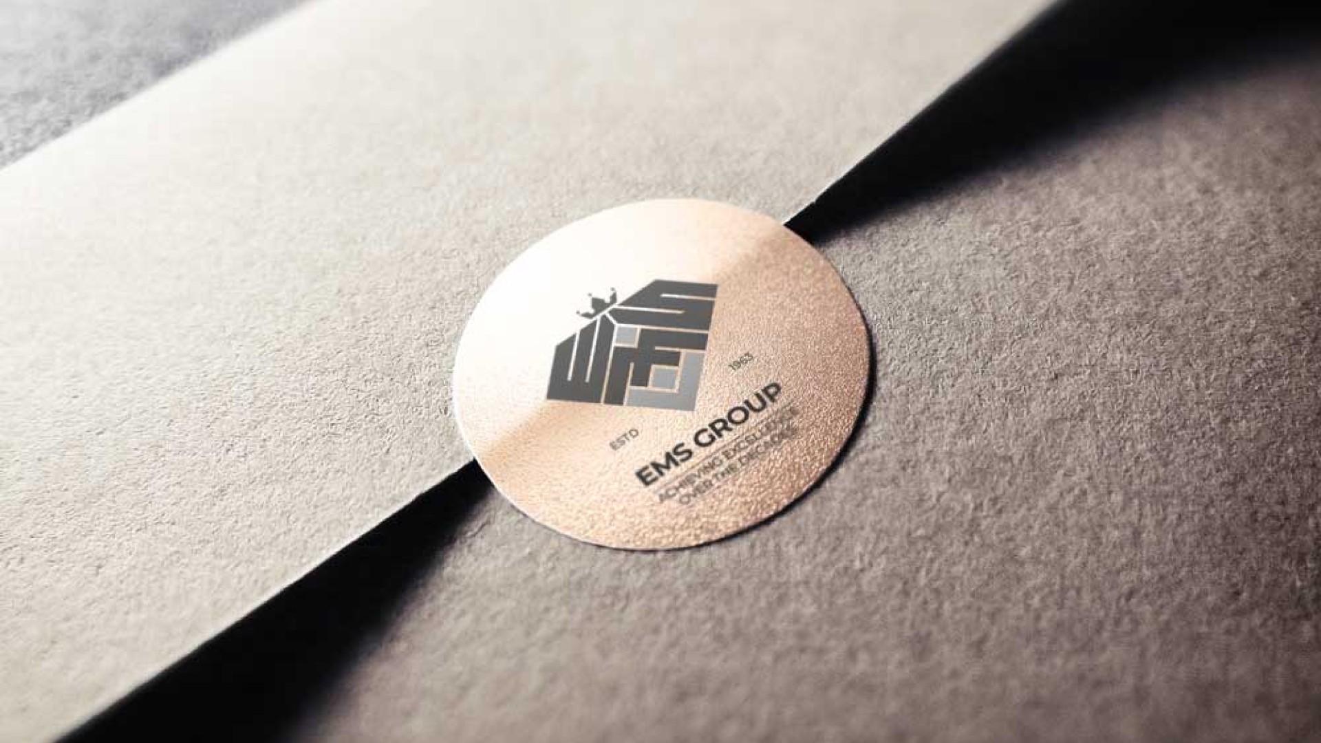 EMS Group logo stamp on luxury packaging — Penguincil Design